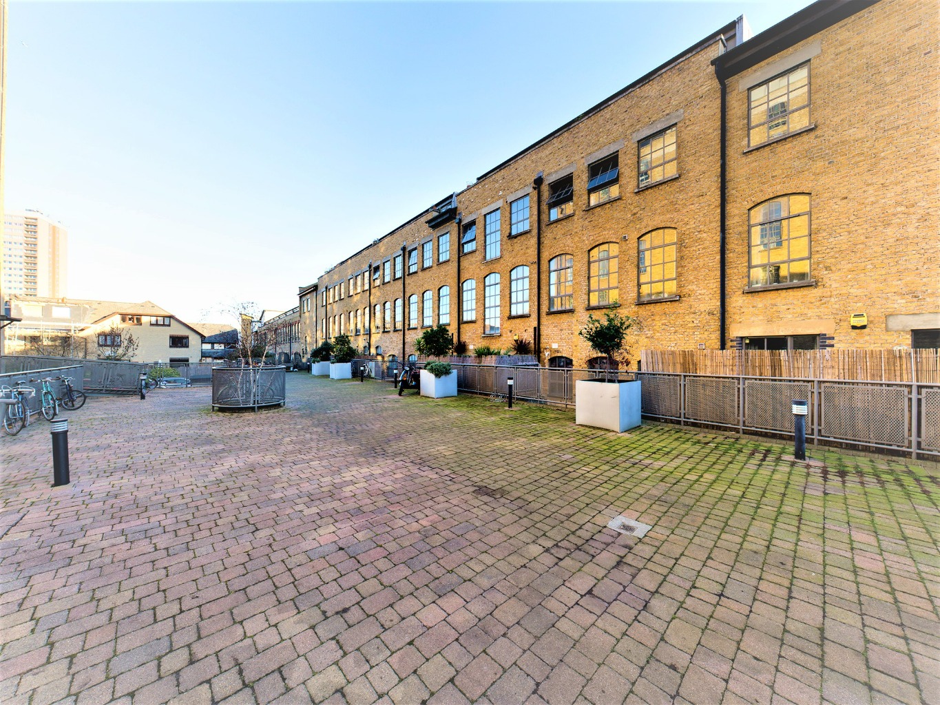 Media image 10
