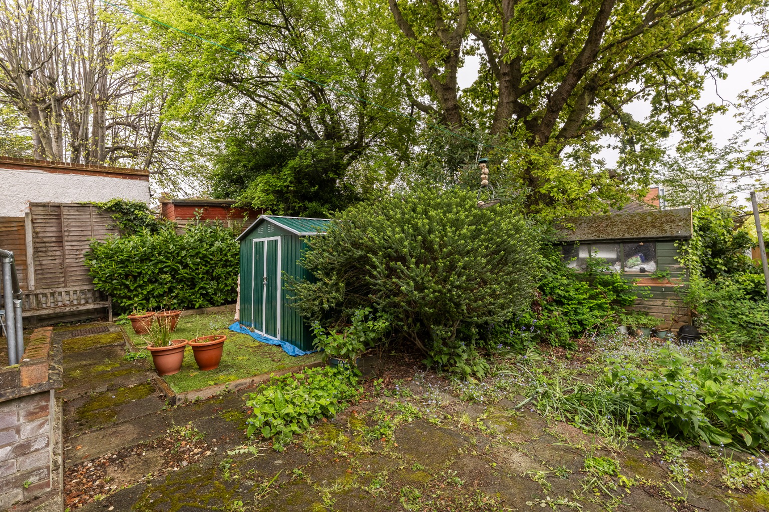 Media image 09