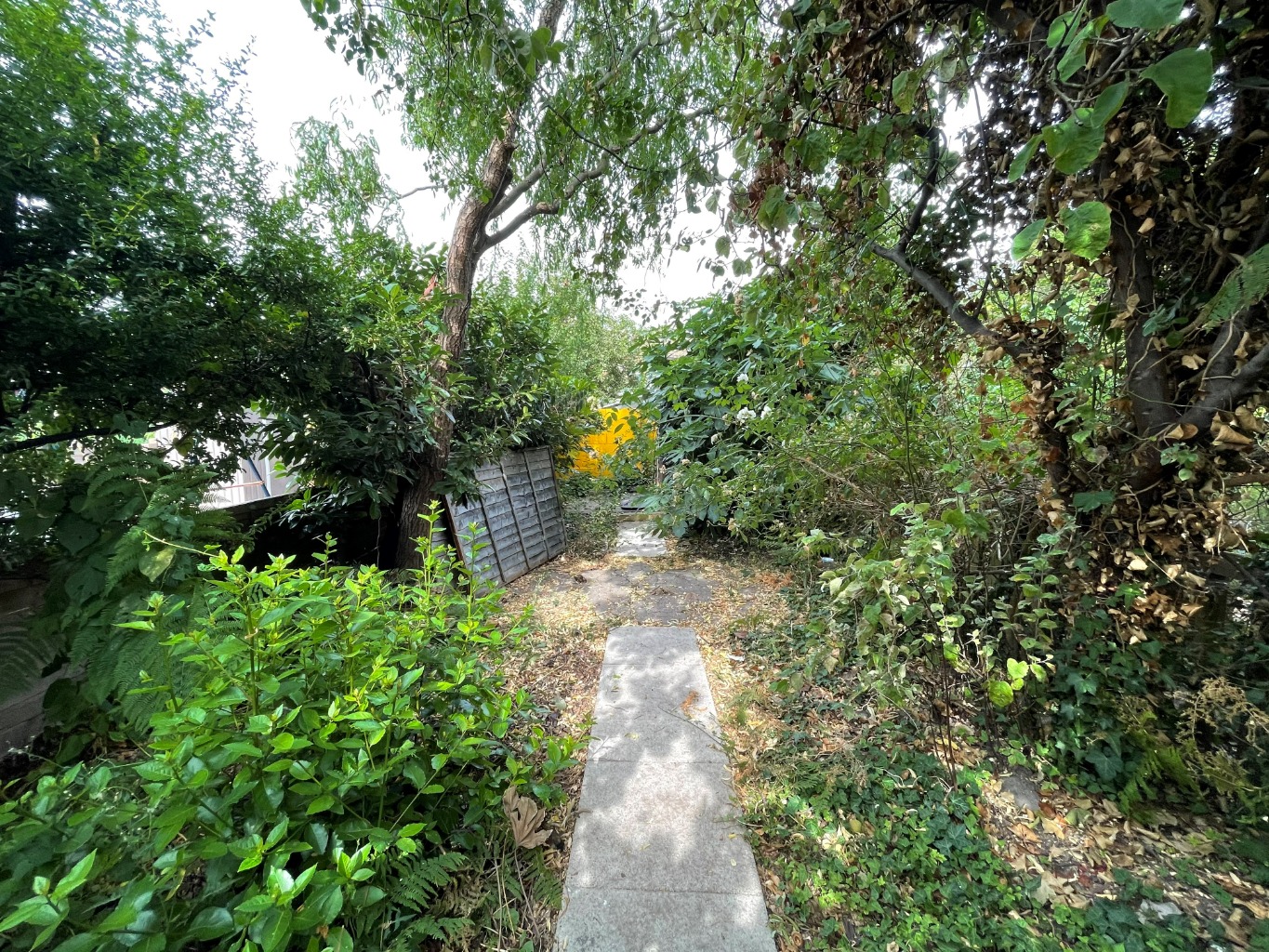 Media image 12