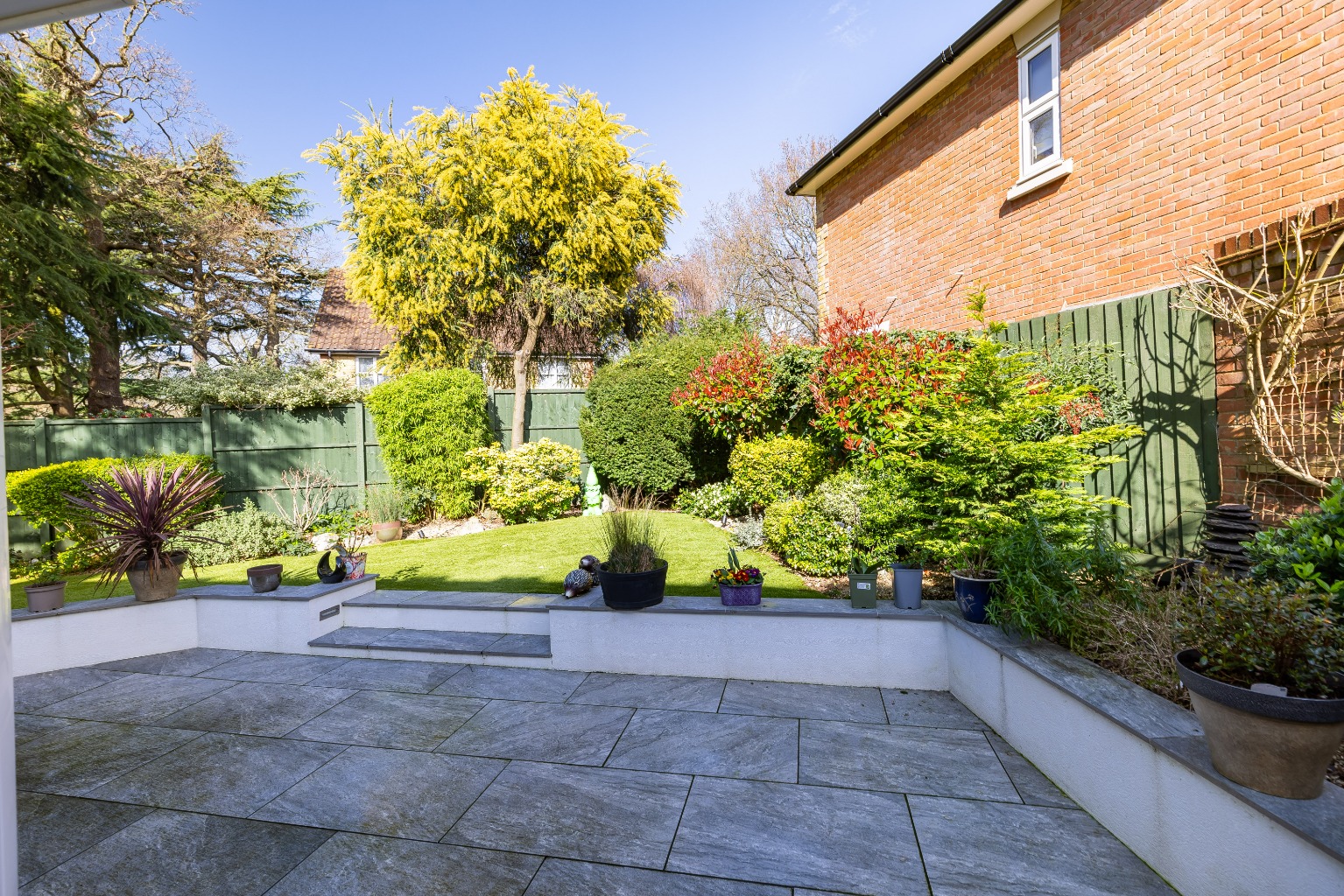 Media image 19