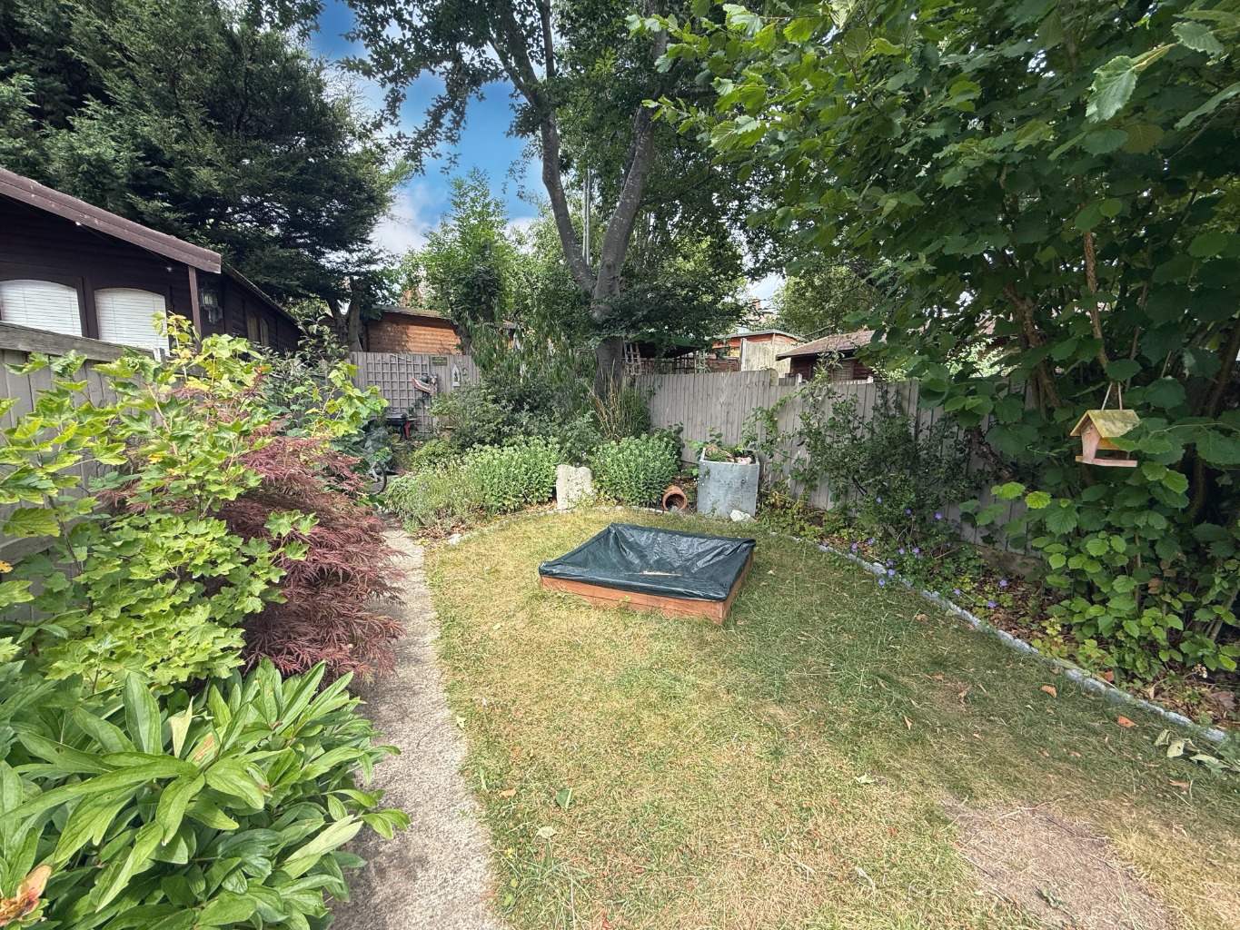 Media image 15