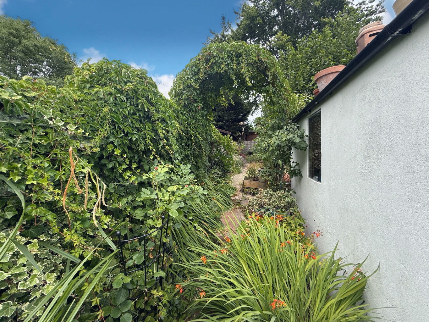 Media image 18