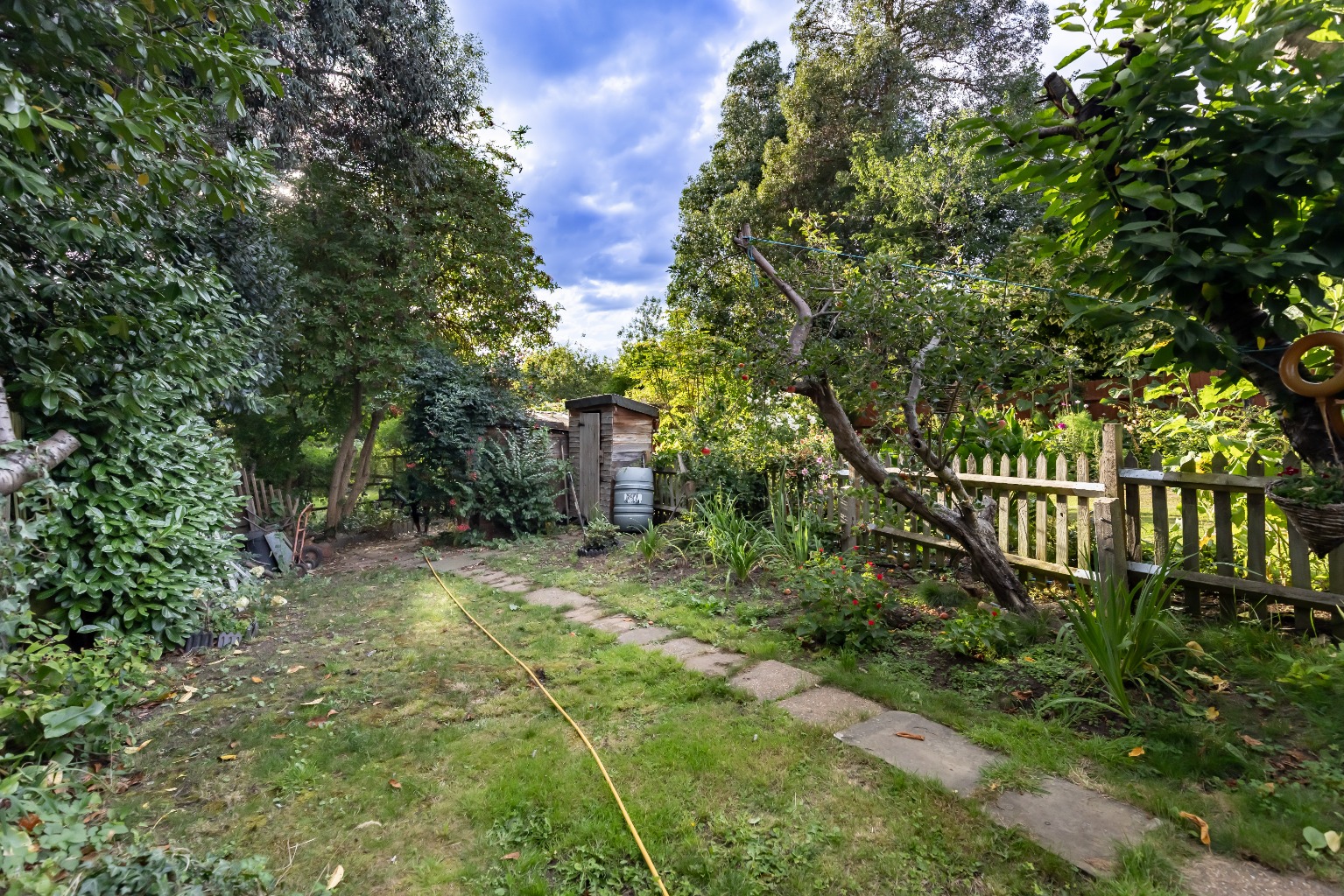 Media image 21