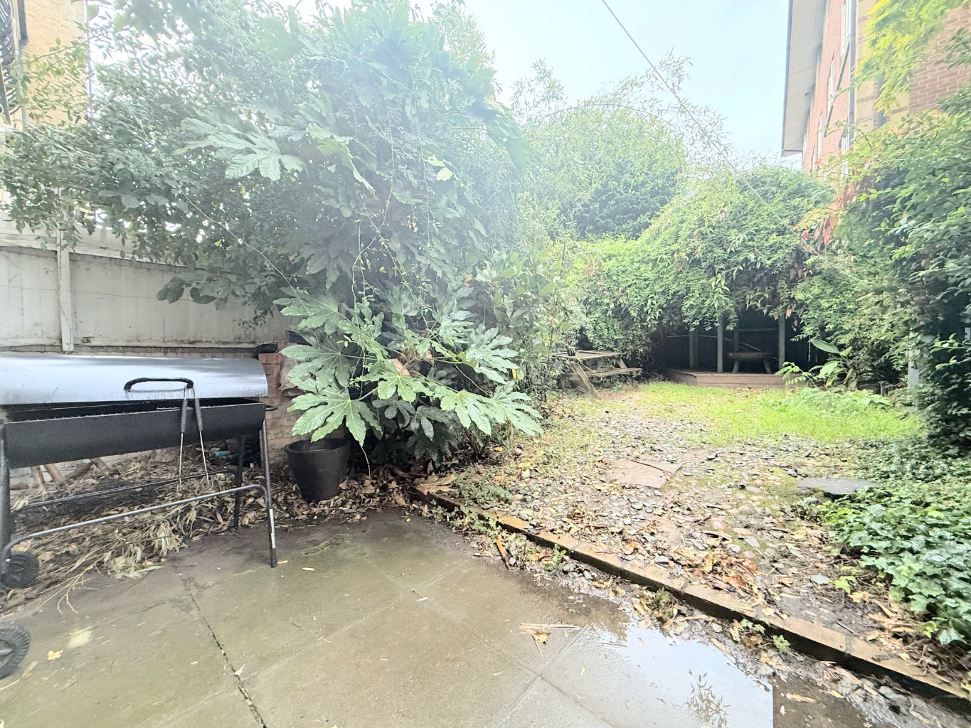 Media image 19