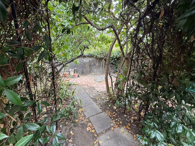 Media image 15