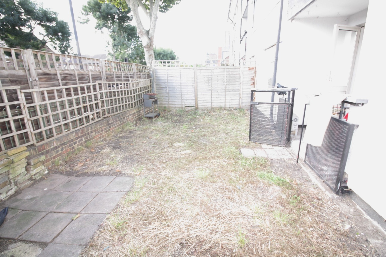 Media image 05