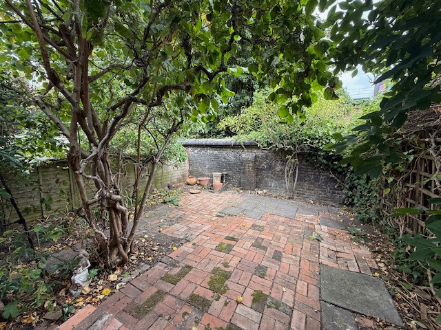 Media image 21