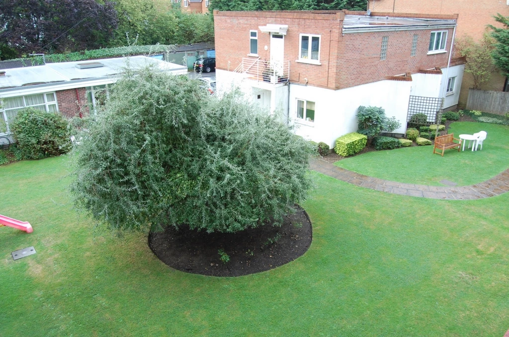 Photo 3