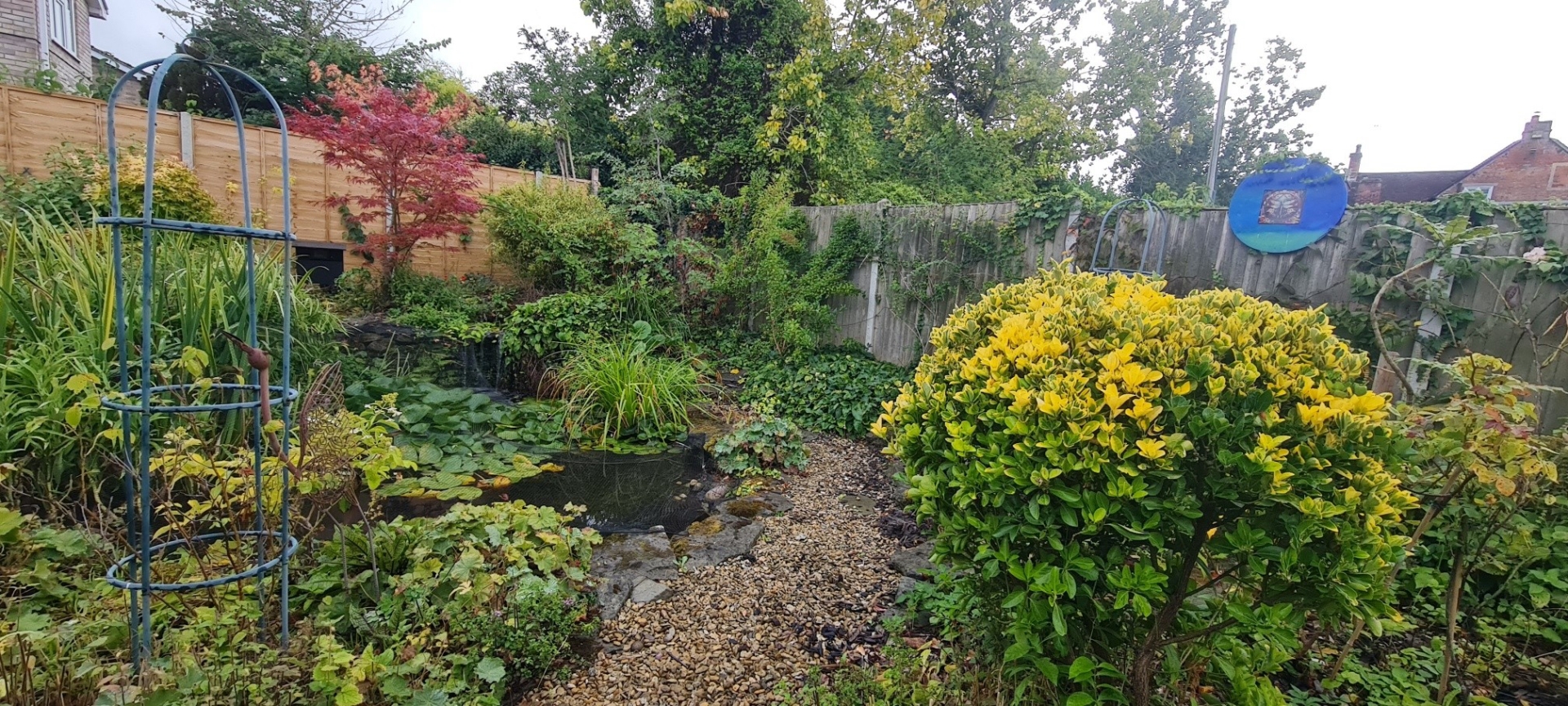 Photo 19