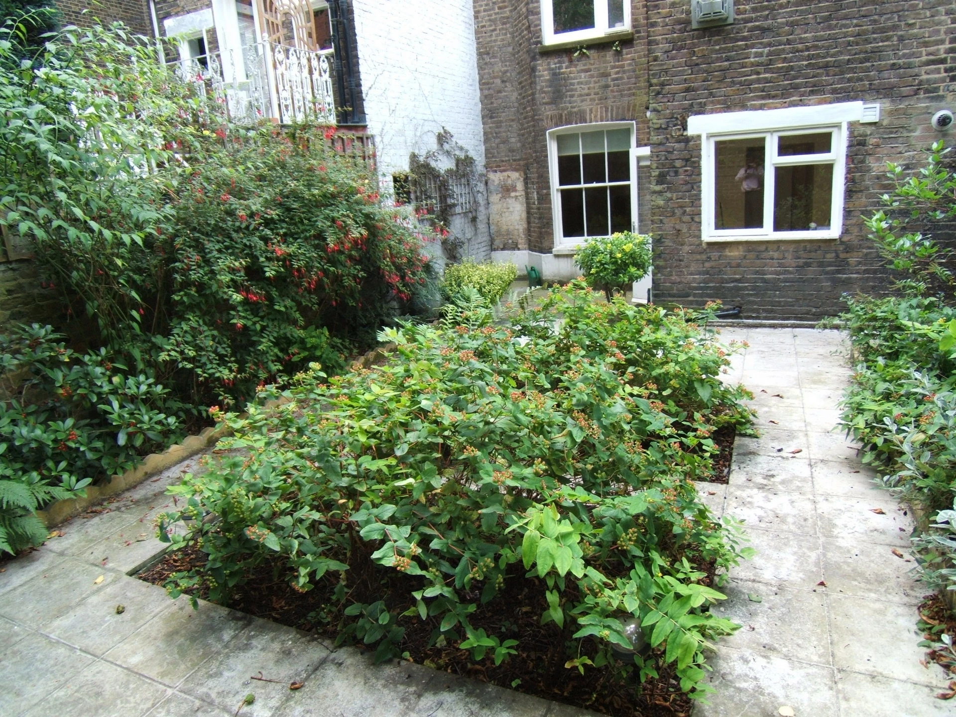 Photo 13