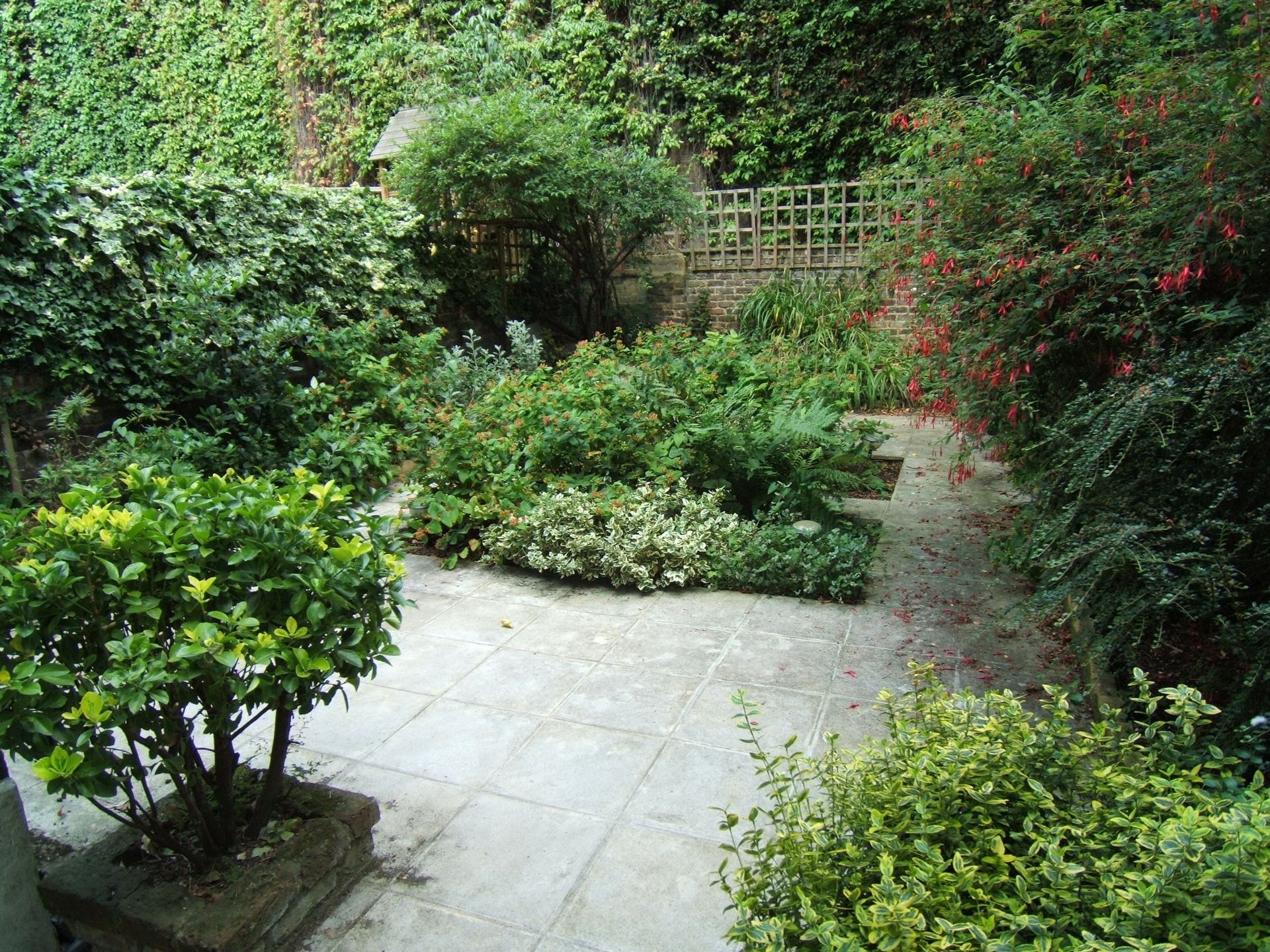 Photo 3