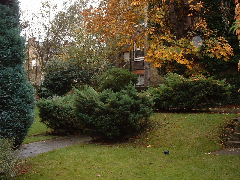 Photo 10