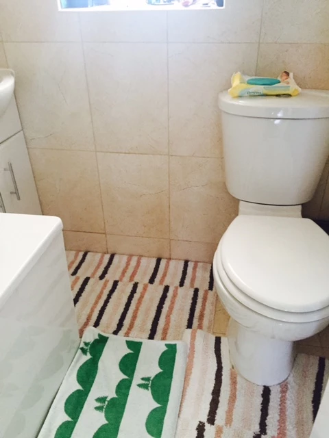 Bathroom downstairs