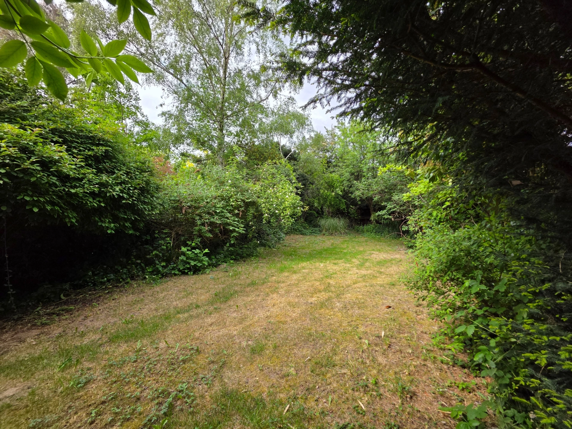 Photo 8
