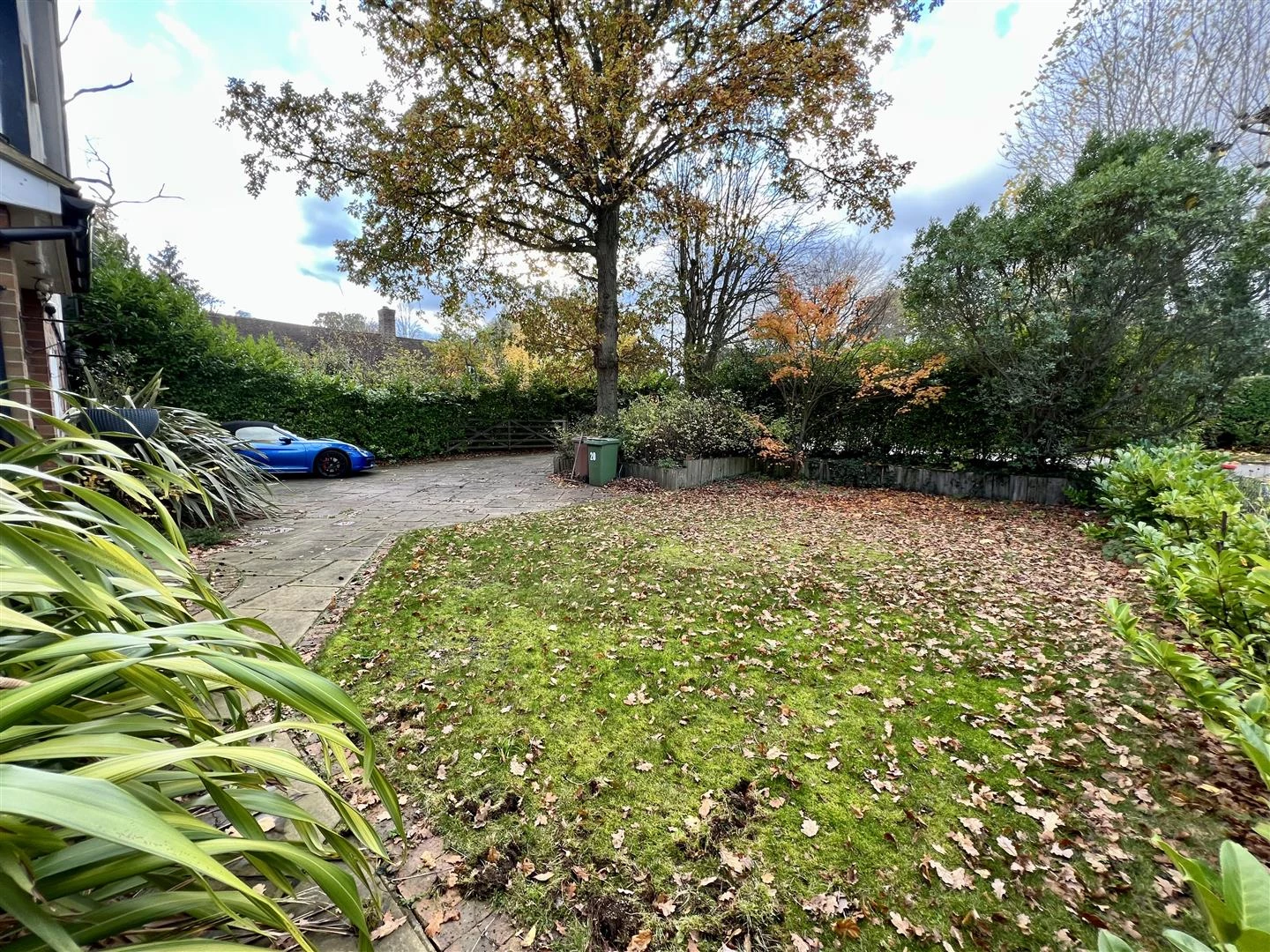 Hermanus Front Garden.jpg