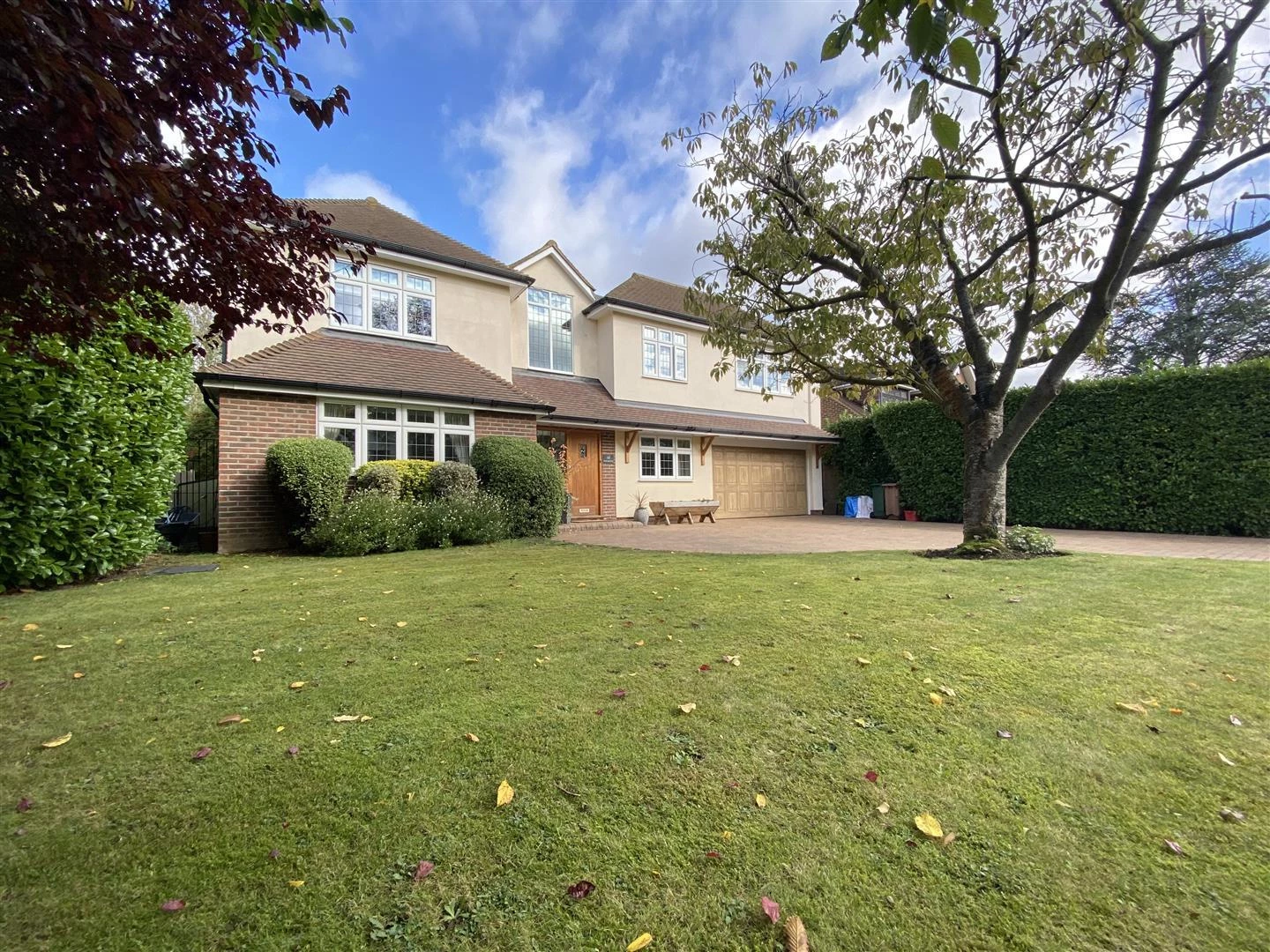 FRONT GARDEN
