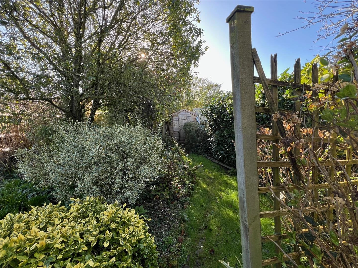 Rear garden.jpg