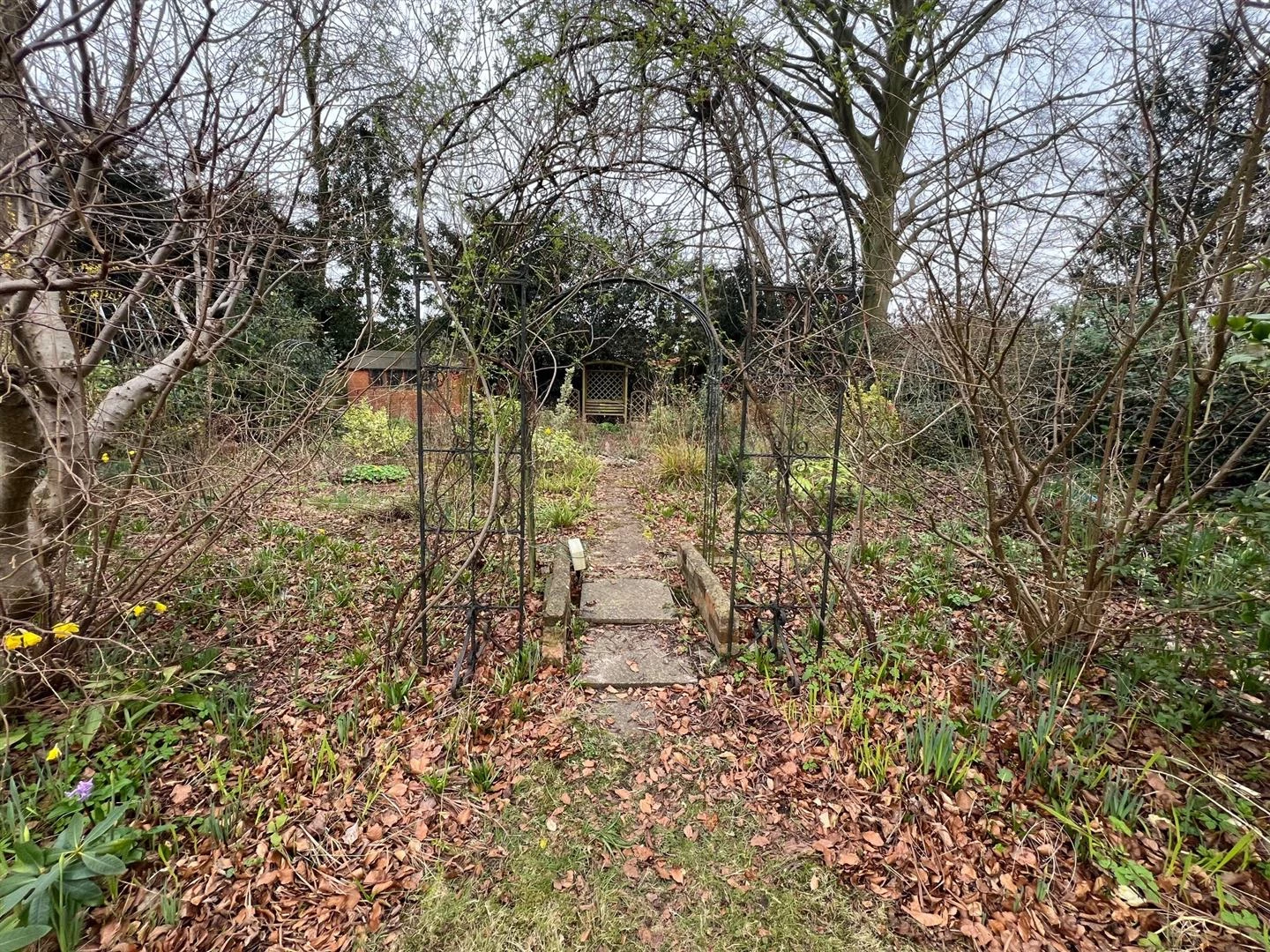 Rear garden.jpg