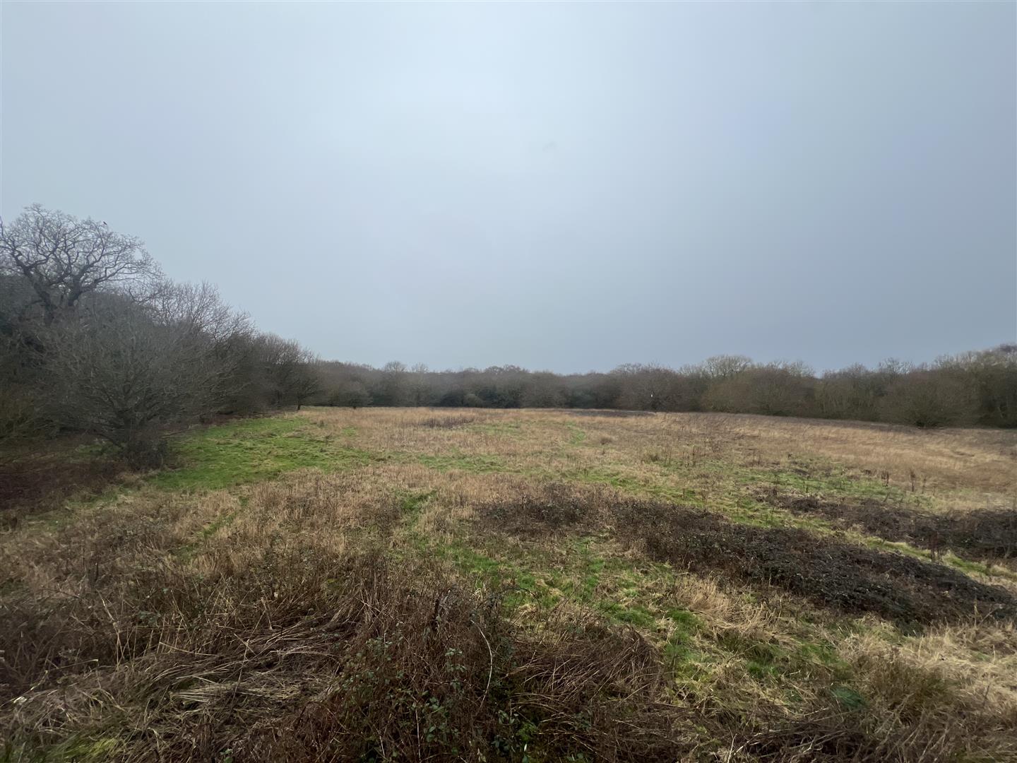 Property For Sale Shenfield Place, Shenfield, CM15 4 Bedroom Detached