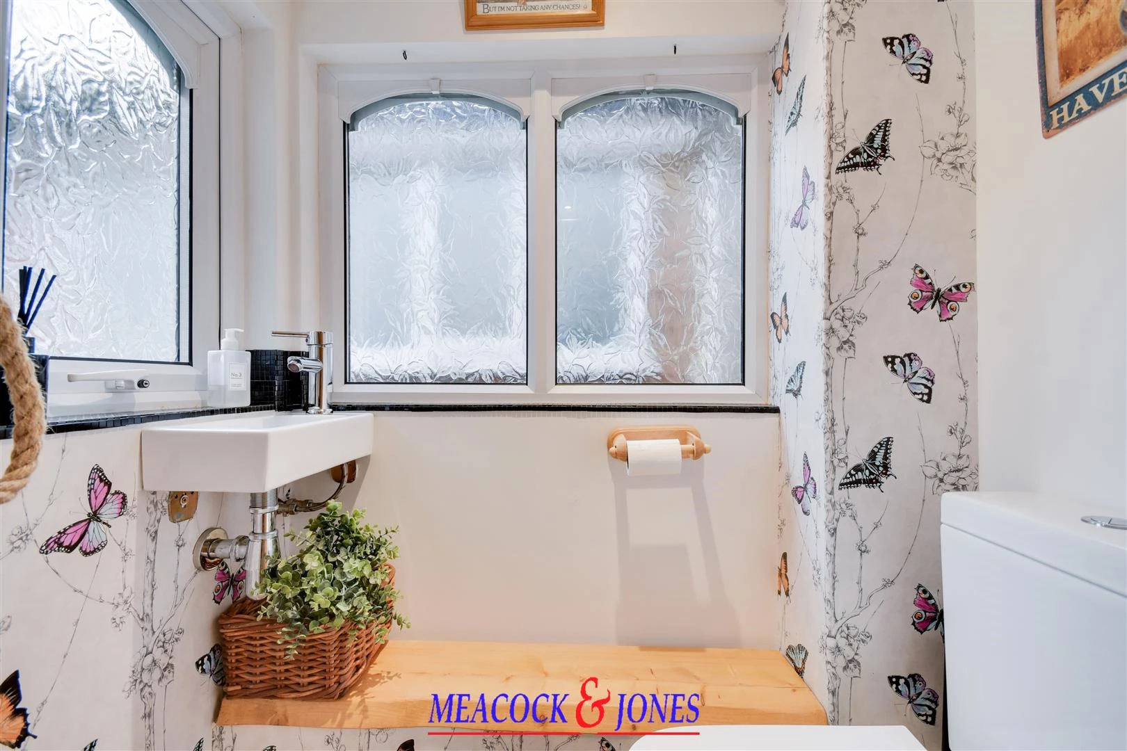 DSC_7975-DSC_7979 copy.jpg