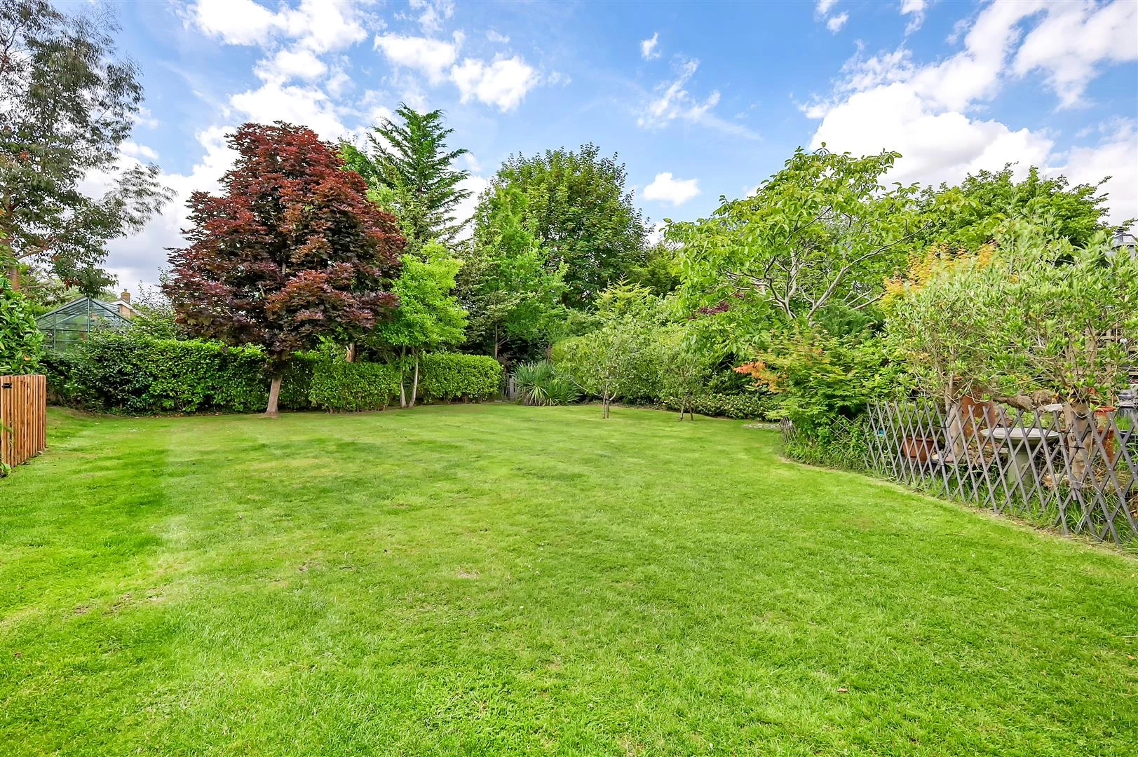 IMG_5893_27 copy.jpg