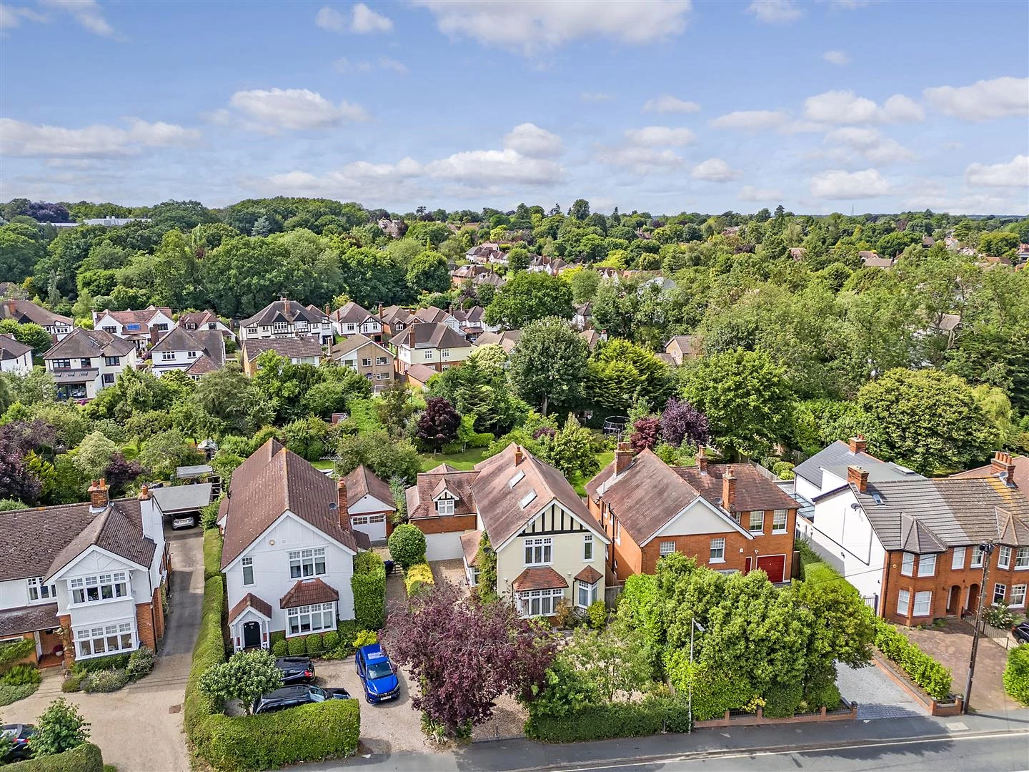 DJI_20240711145349_0063_D copy.jpg