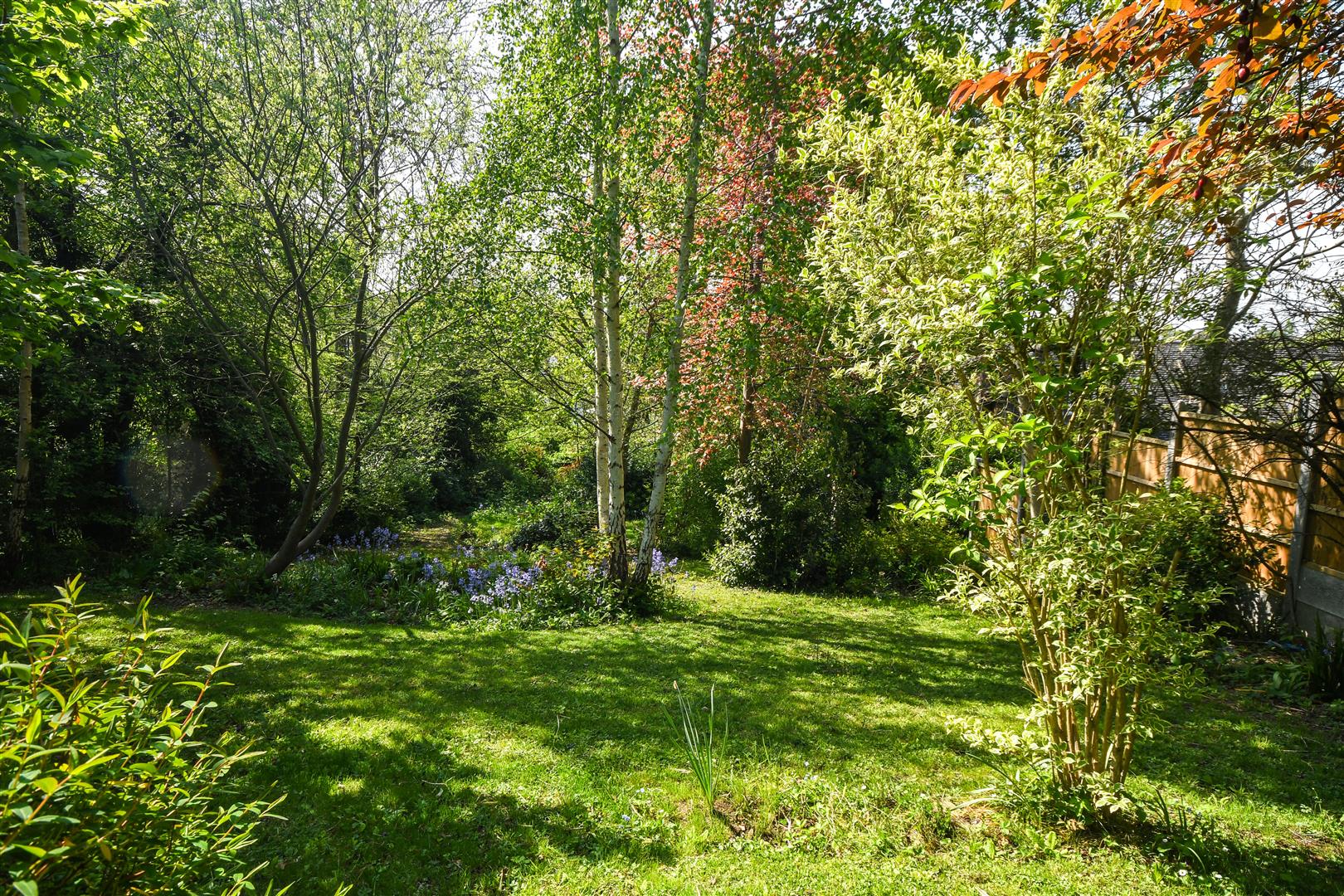 DSC_0291.jpg