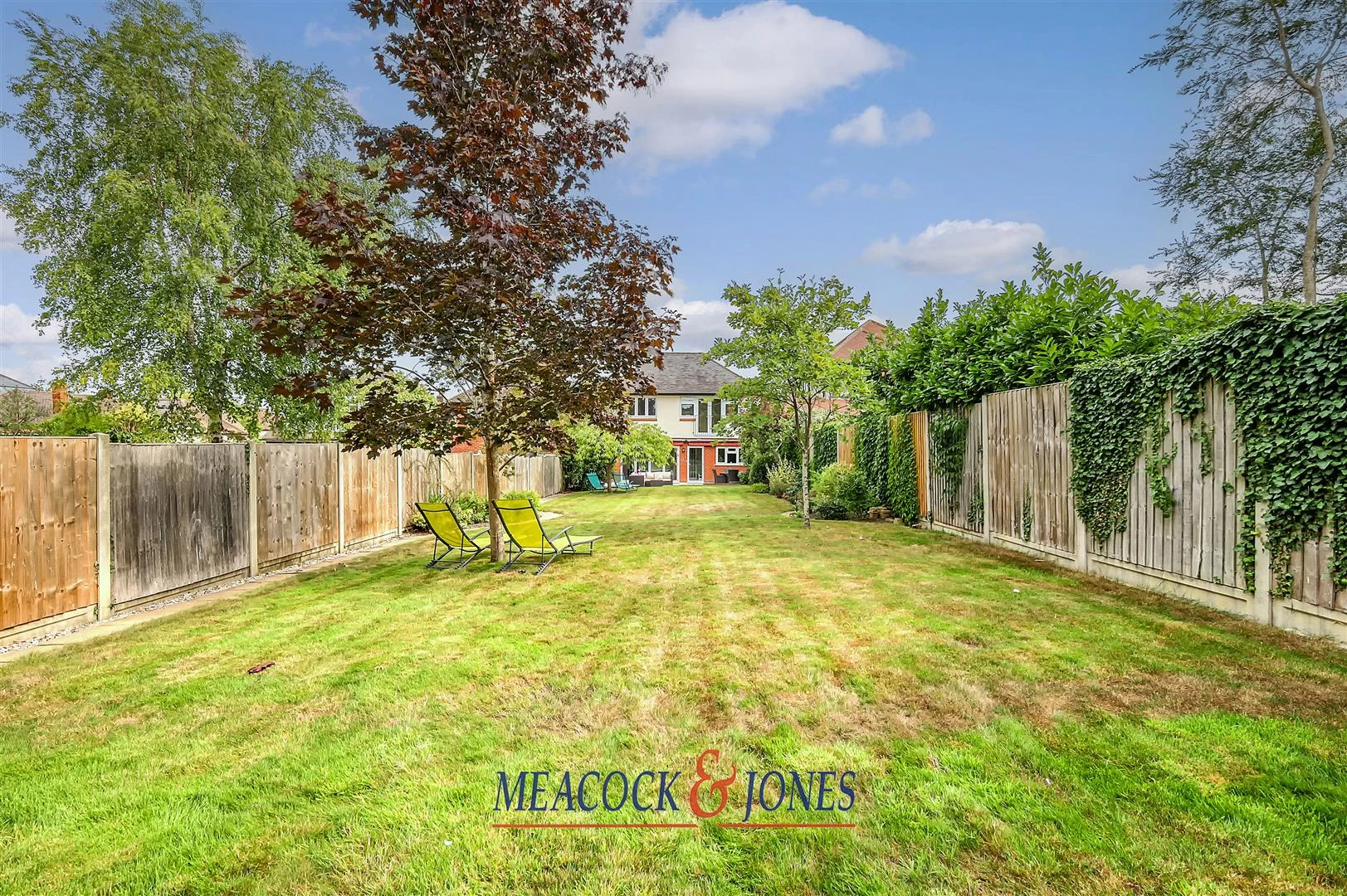 IMG_6813_39 copy.jpg