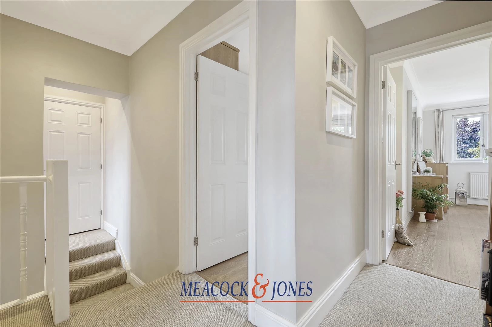 IMG_6784_33 copy 2.jpg