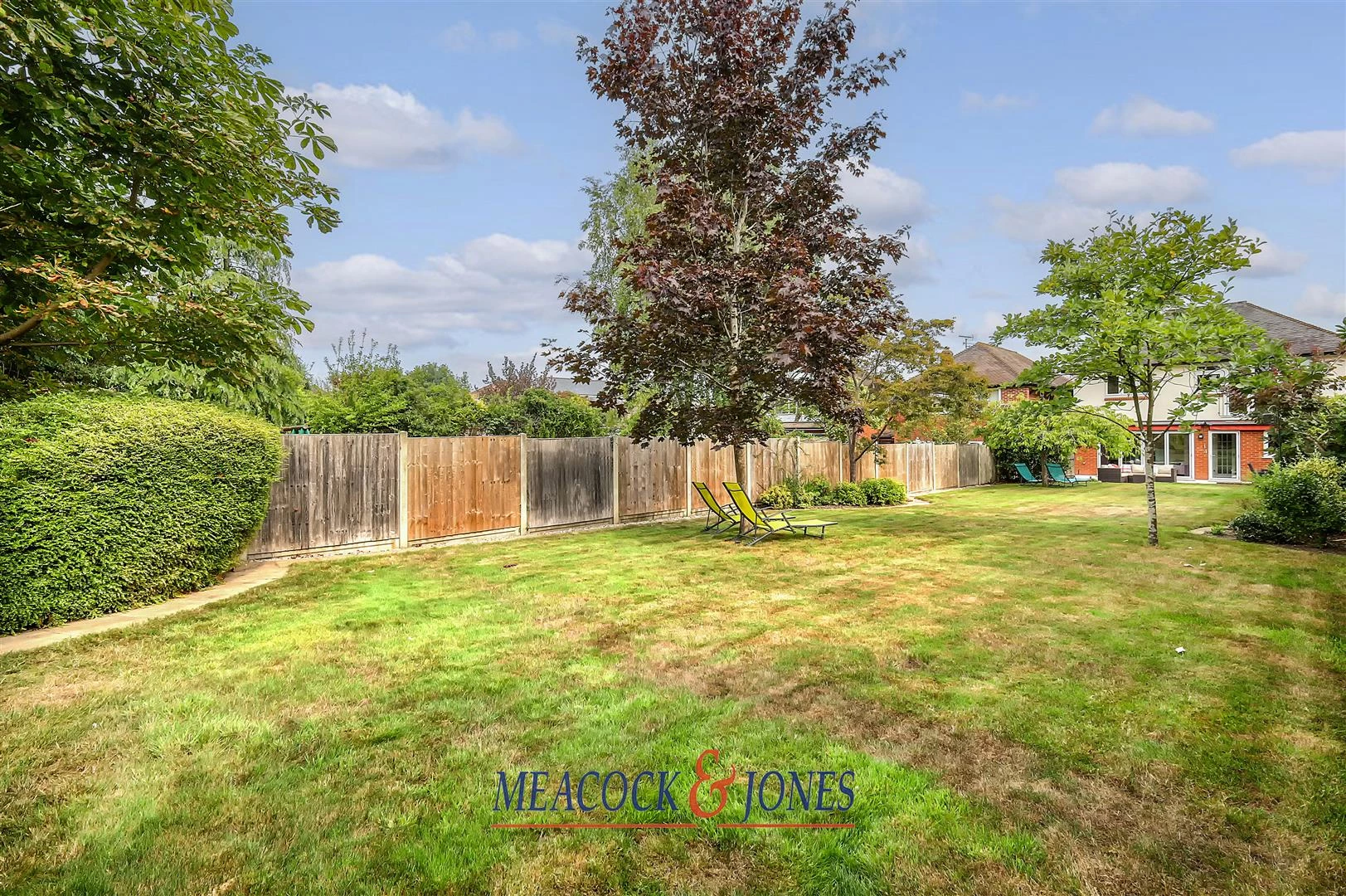 IMG_6806_38 copy.jpg