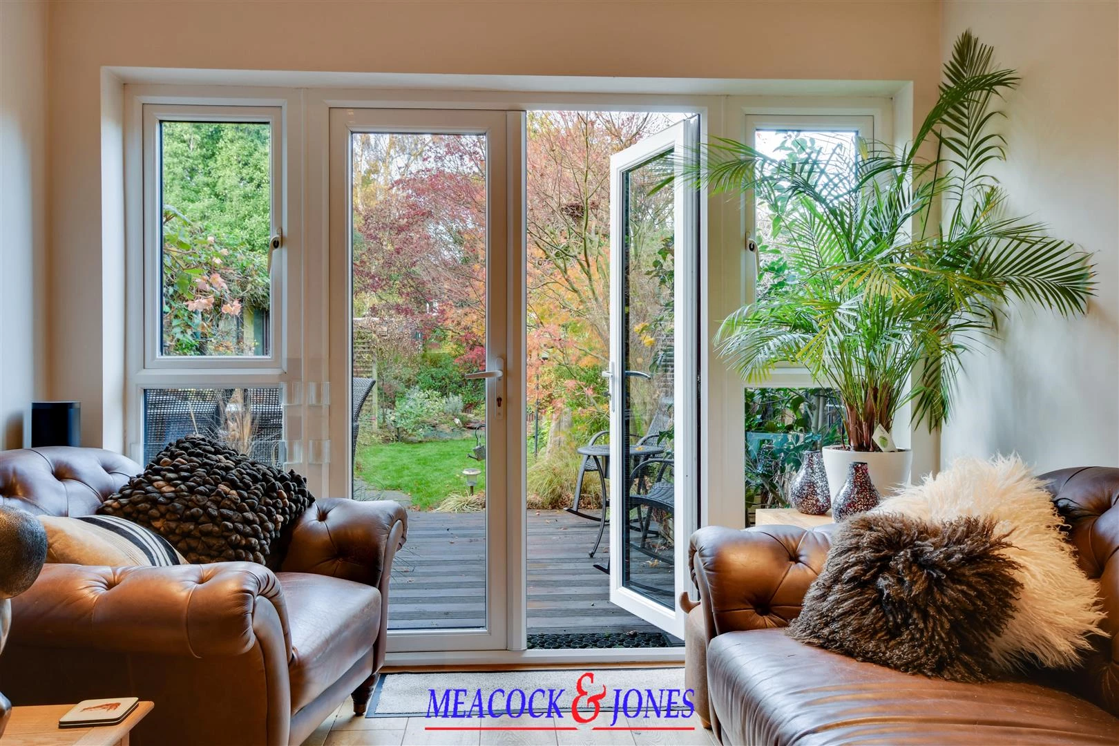 DSC_6392-DSC_6396 copy.jpg