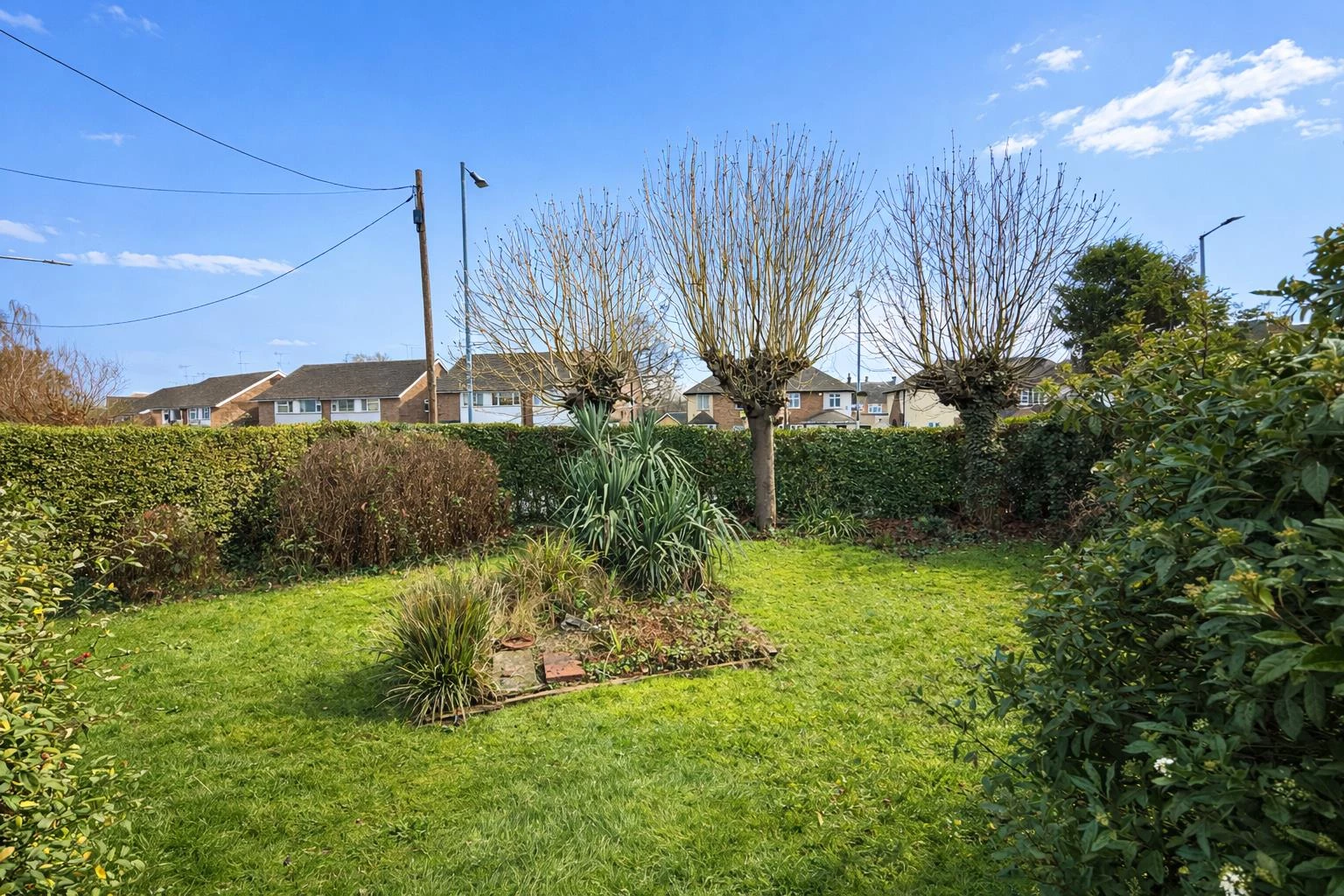 Mount Pleasant front garden.PNG