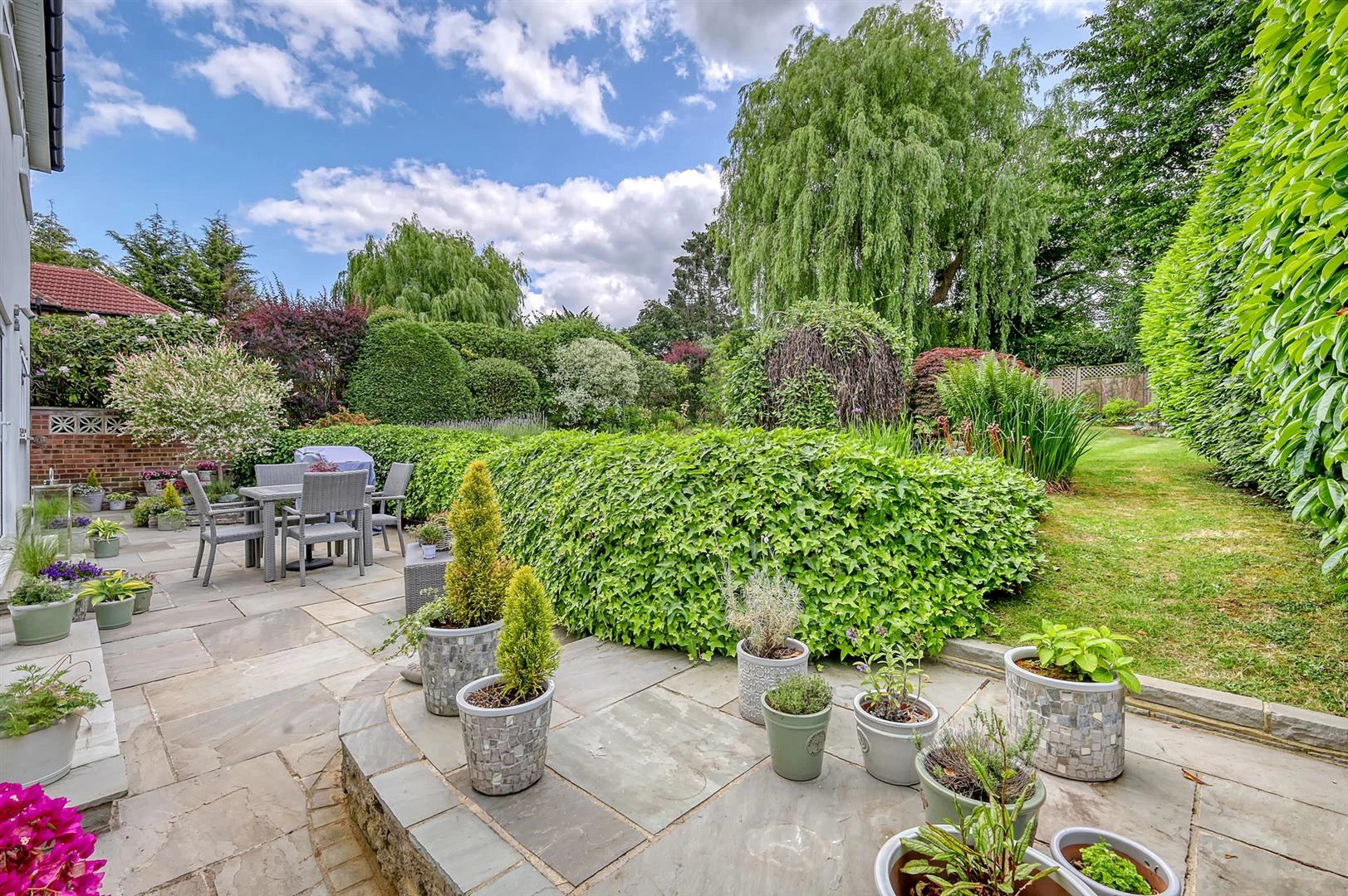 img_3217_20 copy.jpg