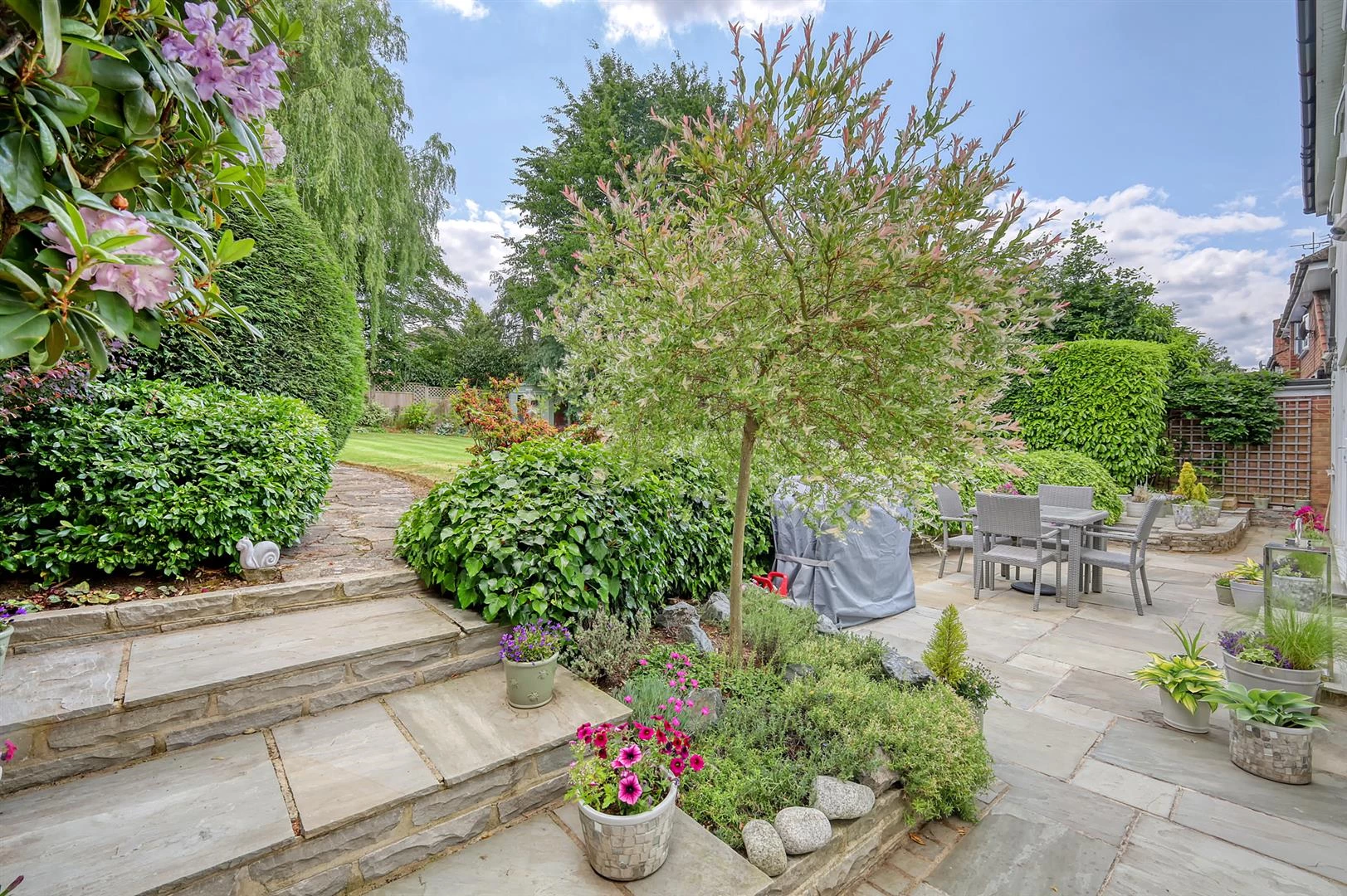 img_3215_19 copy.jpg