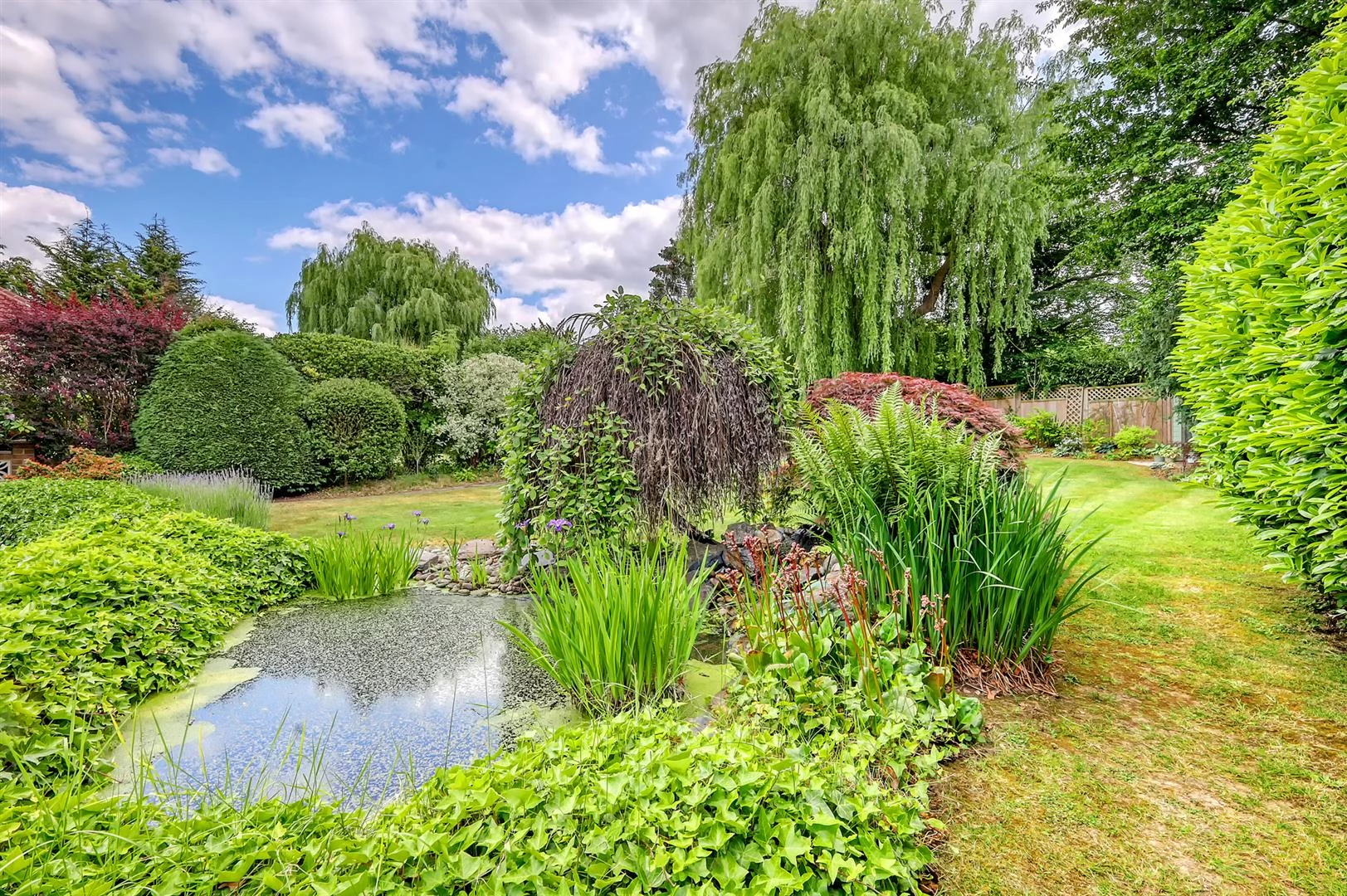 img_3225_21 copy.jpg