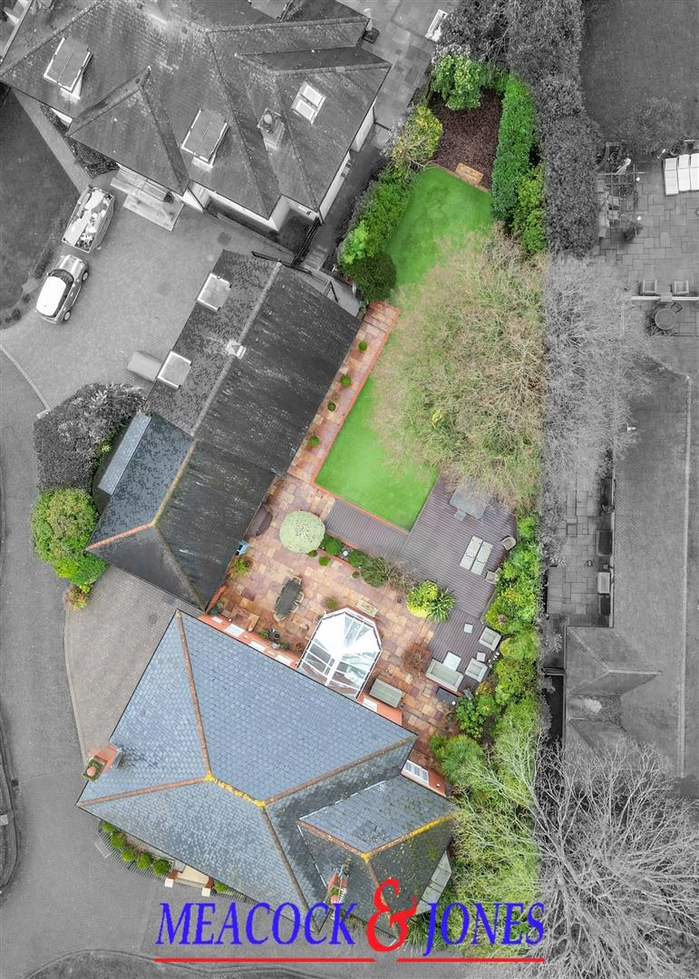 DJI_0965 copy bw.jpg