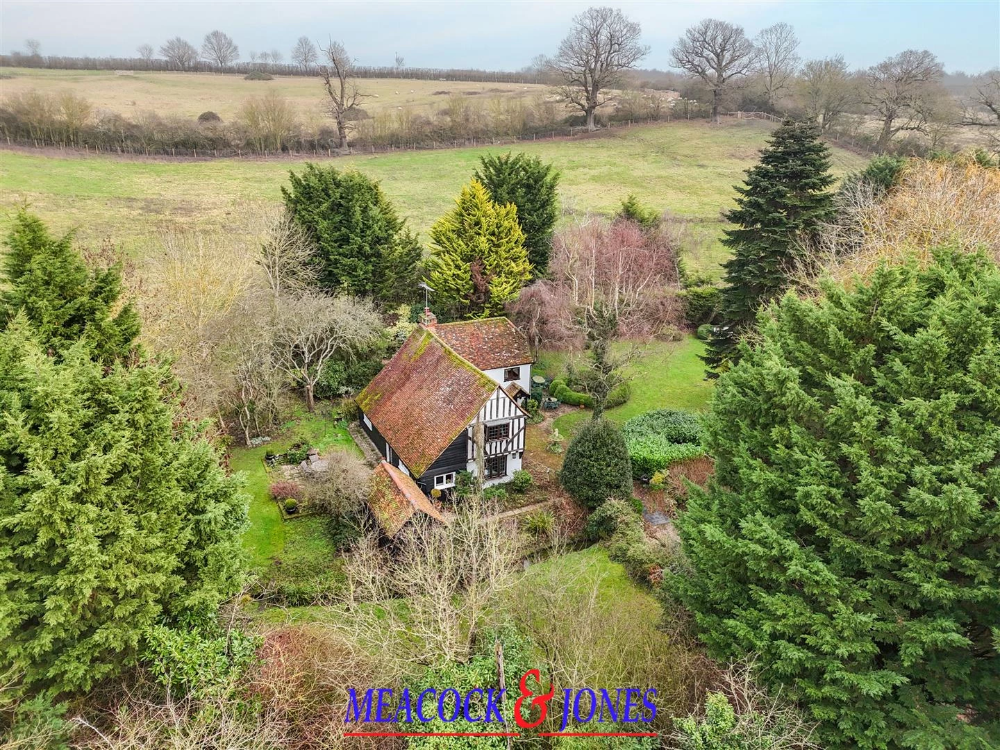 DJI_20260126123907_0939_D copy.jpg