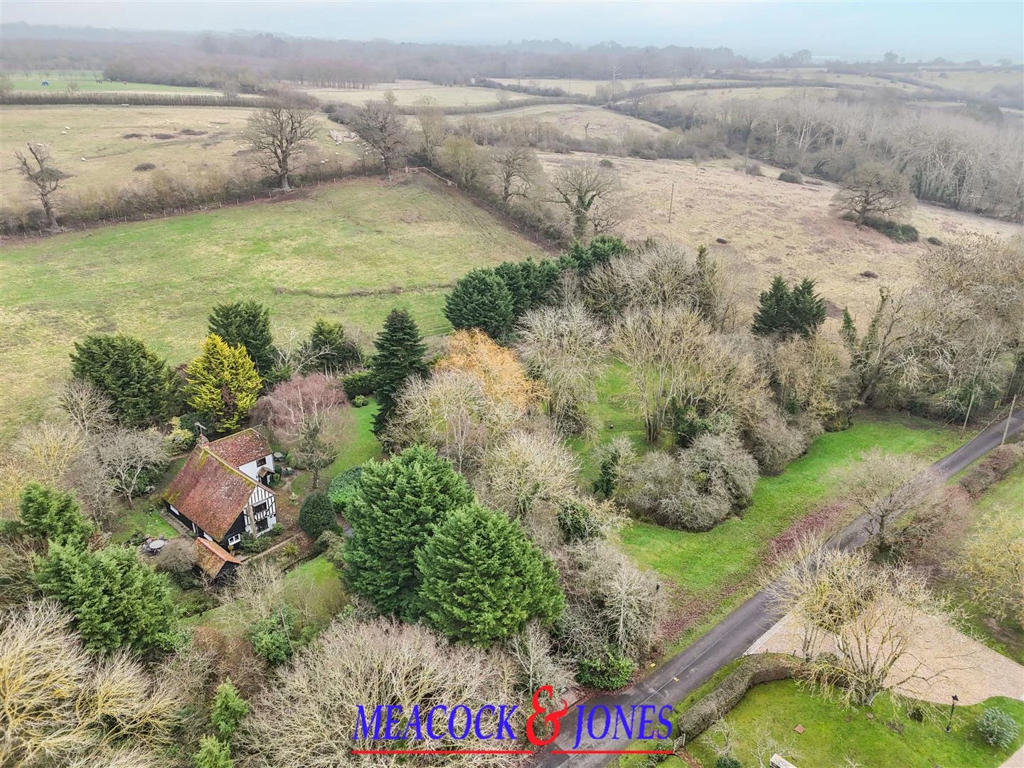 DJI_20260126123627_0926_D copy.jpg