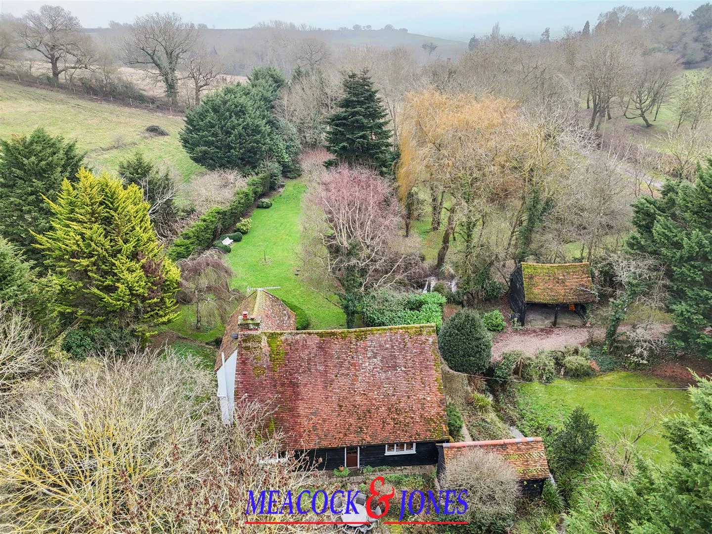 DJI_20260126124246_0954_D copy.jpg