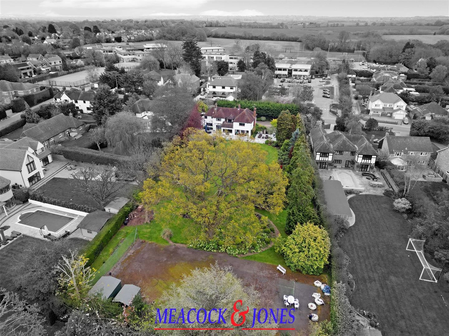 DJI_0134dp copy bw.jpg