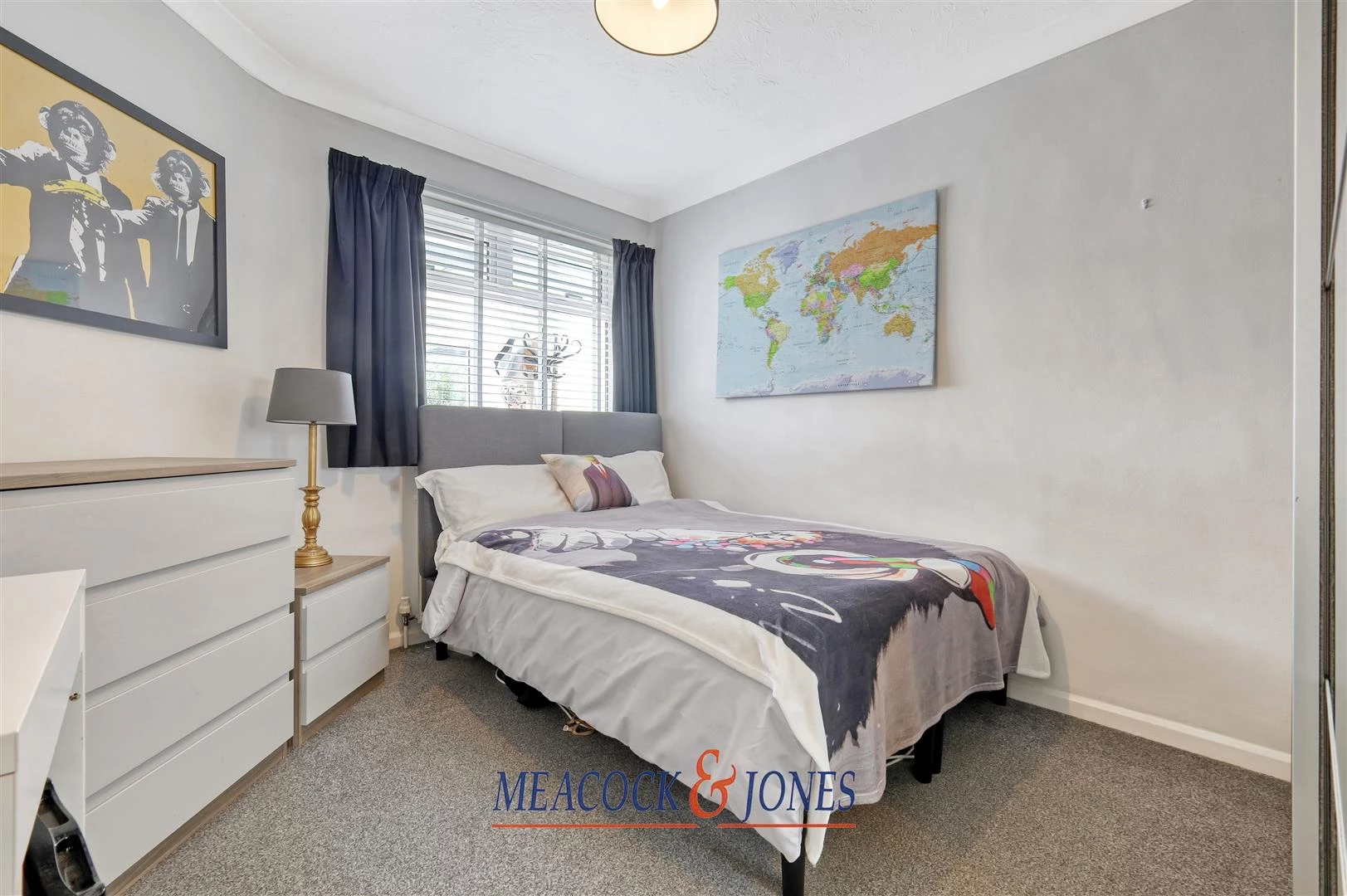 IMG_0247_7 copy 2.jpg