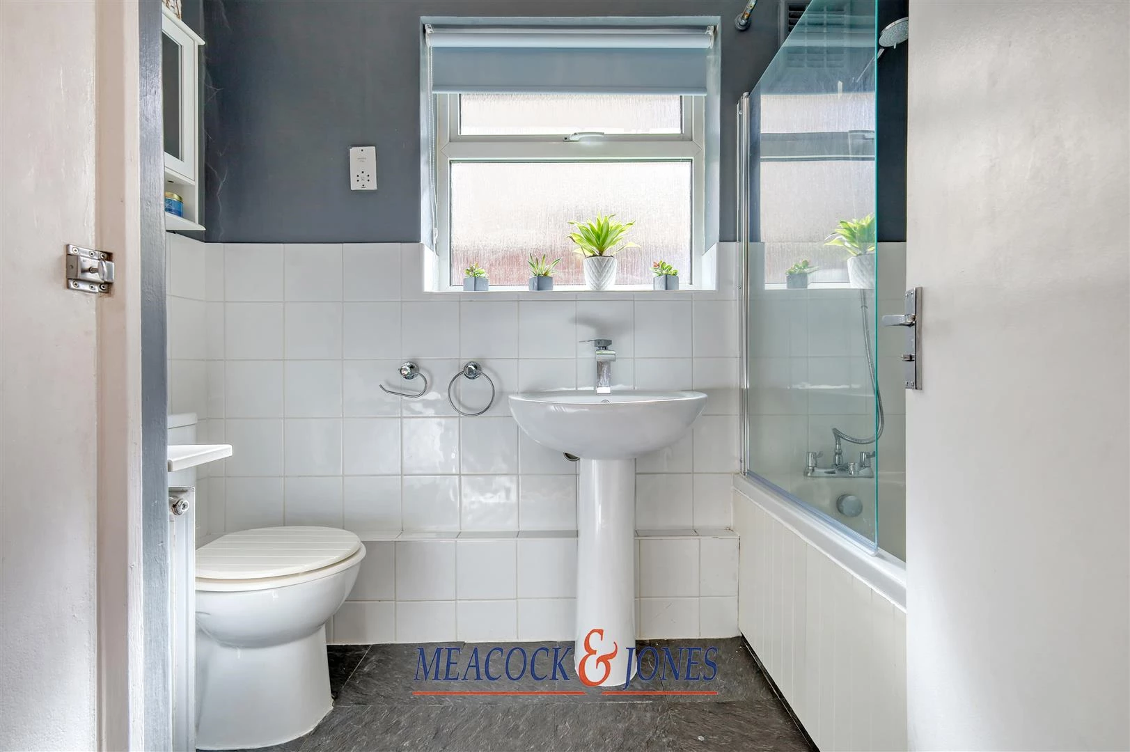 IMG_0264_9 copy 2.jpg