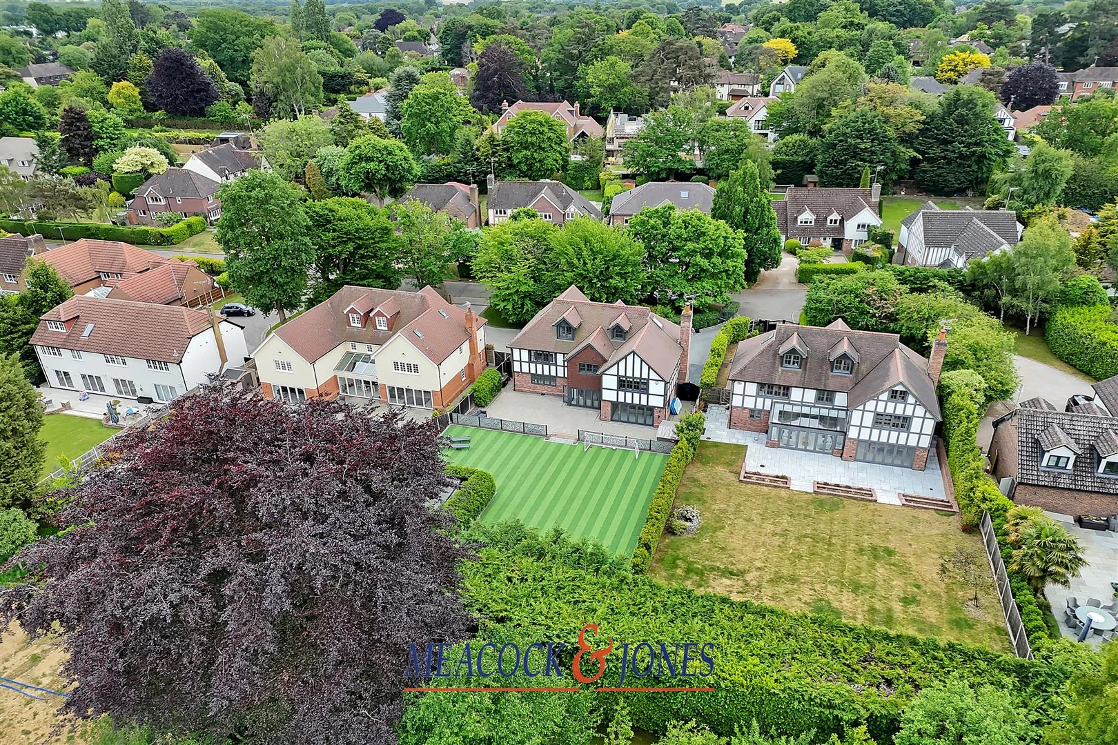 DJI_20240210111009_0697_D copy.jpg