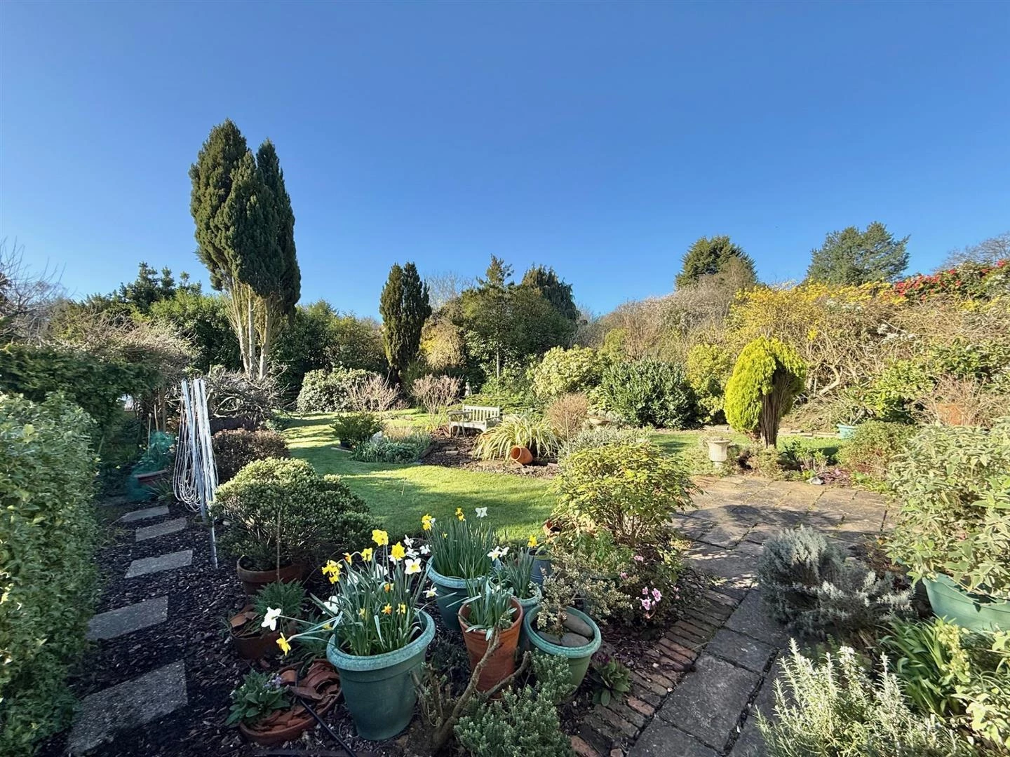 36 Shenfield Crescent garden.jpg