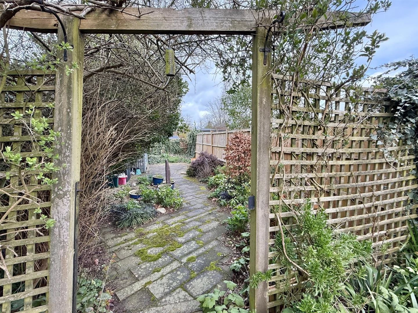 Garden.jpg