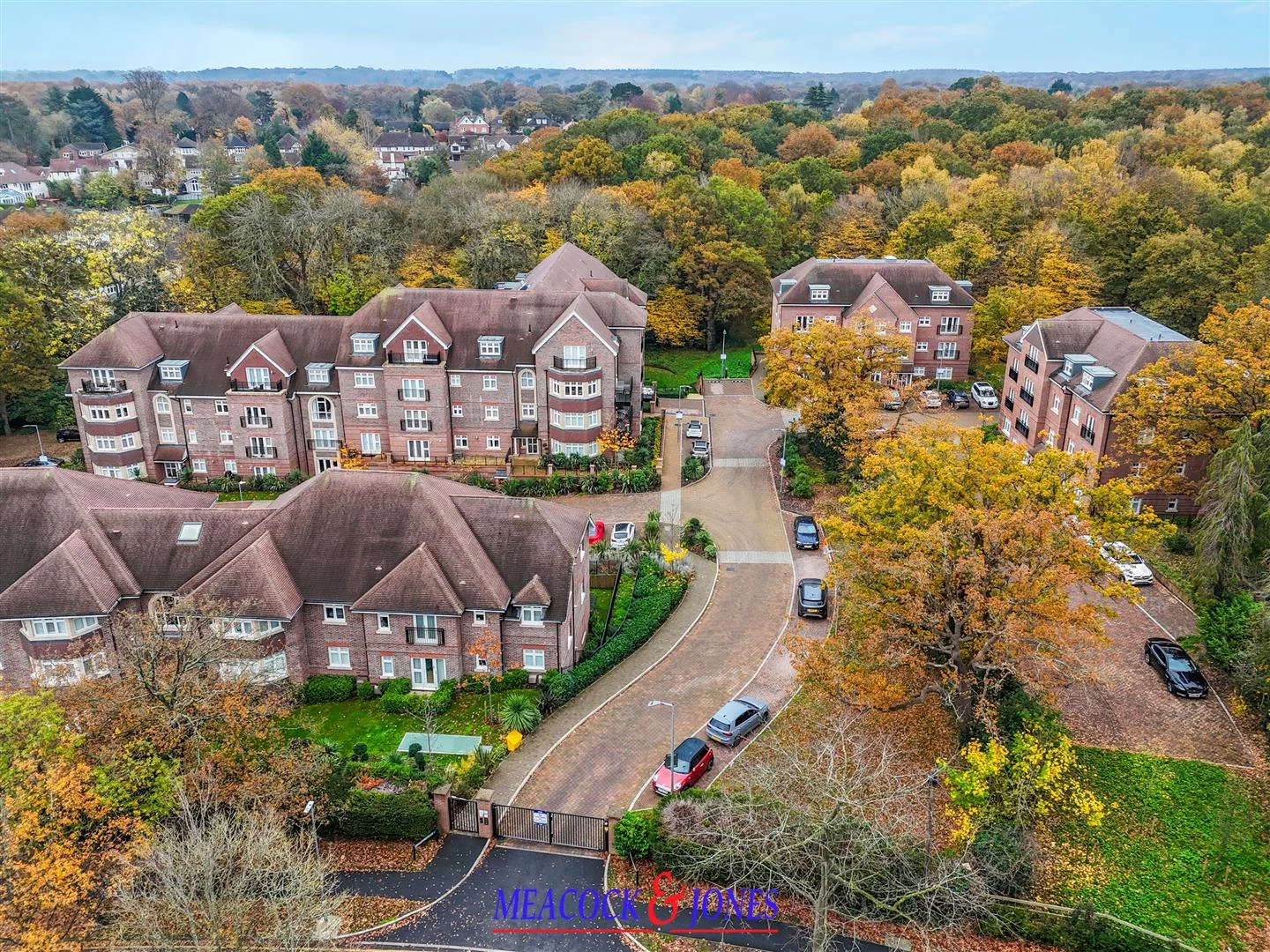 DJI_20251107095245_0296_D copy 2.jpg