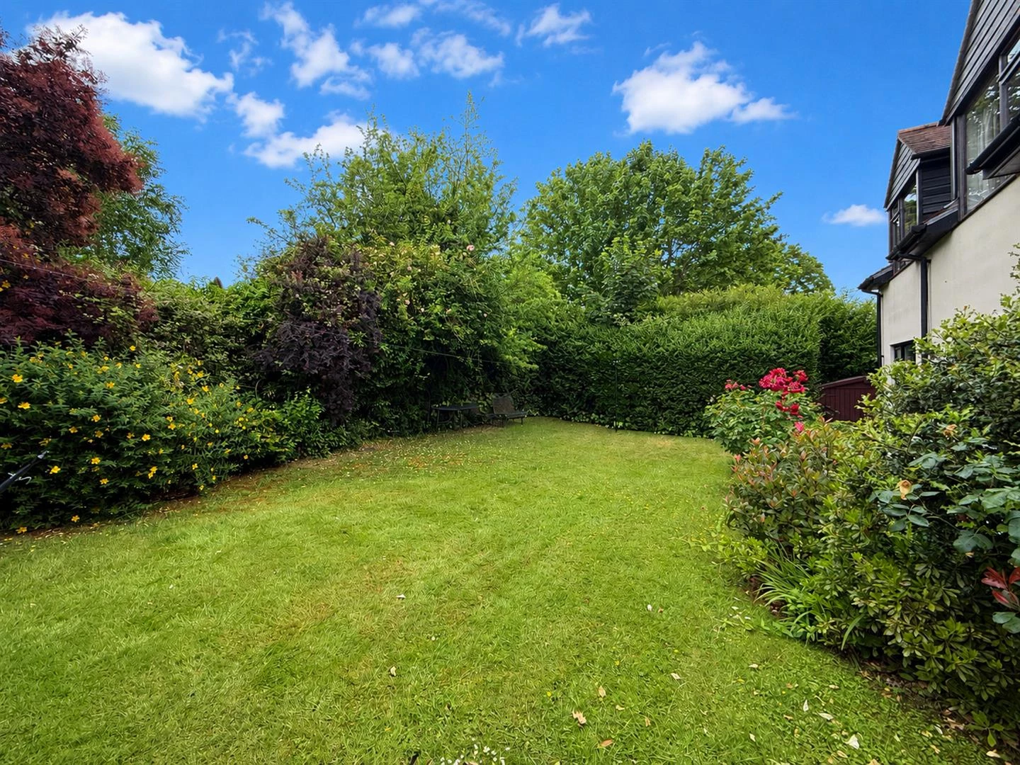 rear garden.jpg