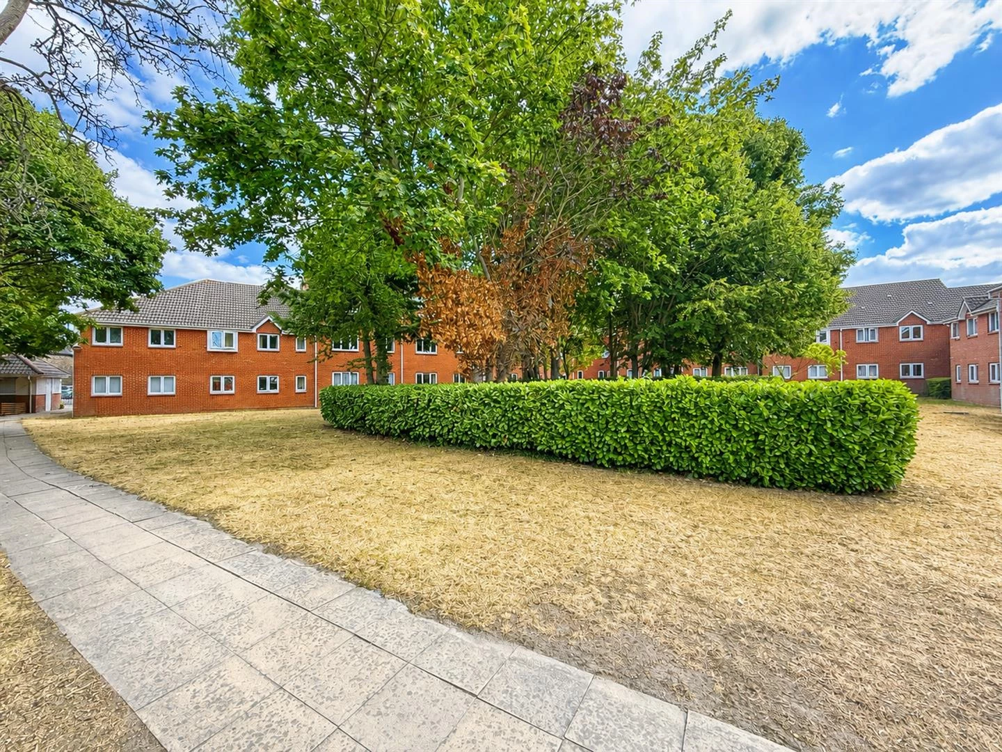 Garden.jpg