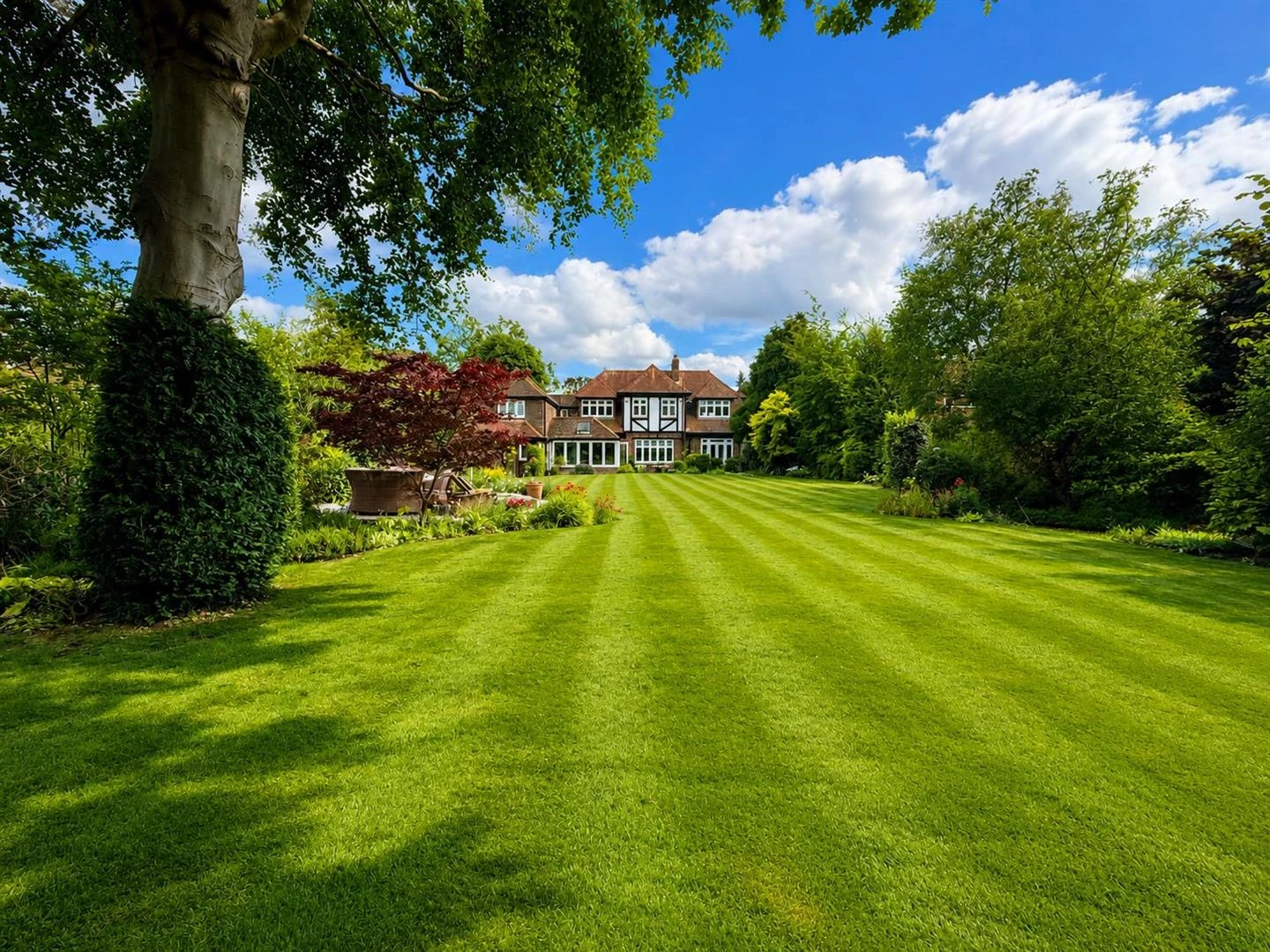 Rear Garden.JPG
