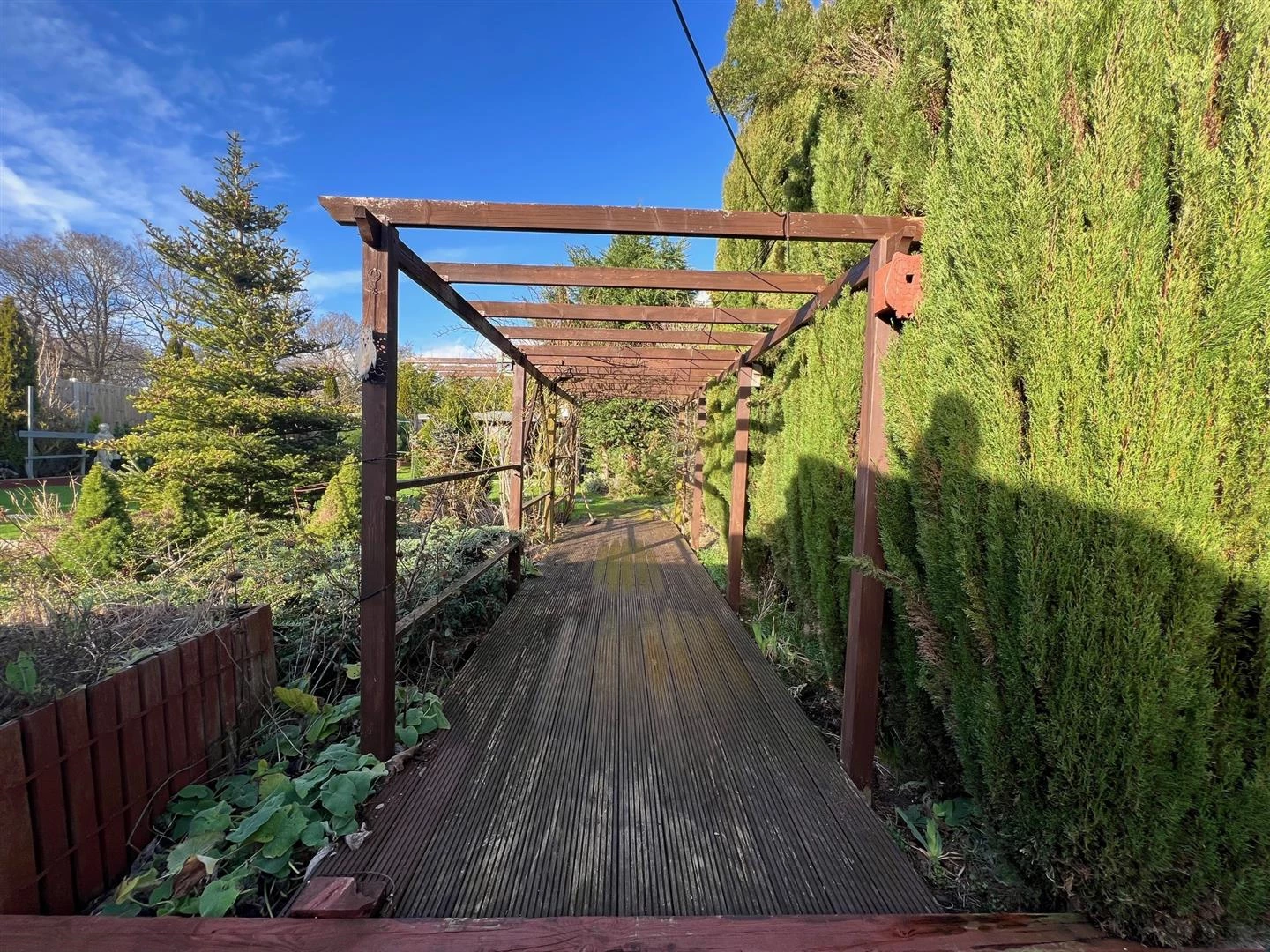 Rear garden.jpg